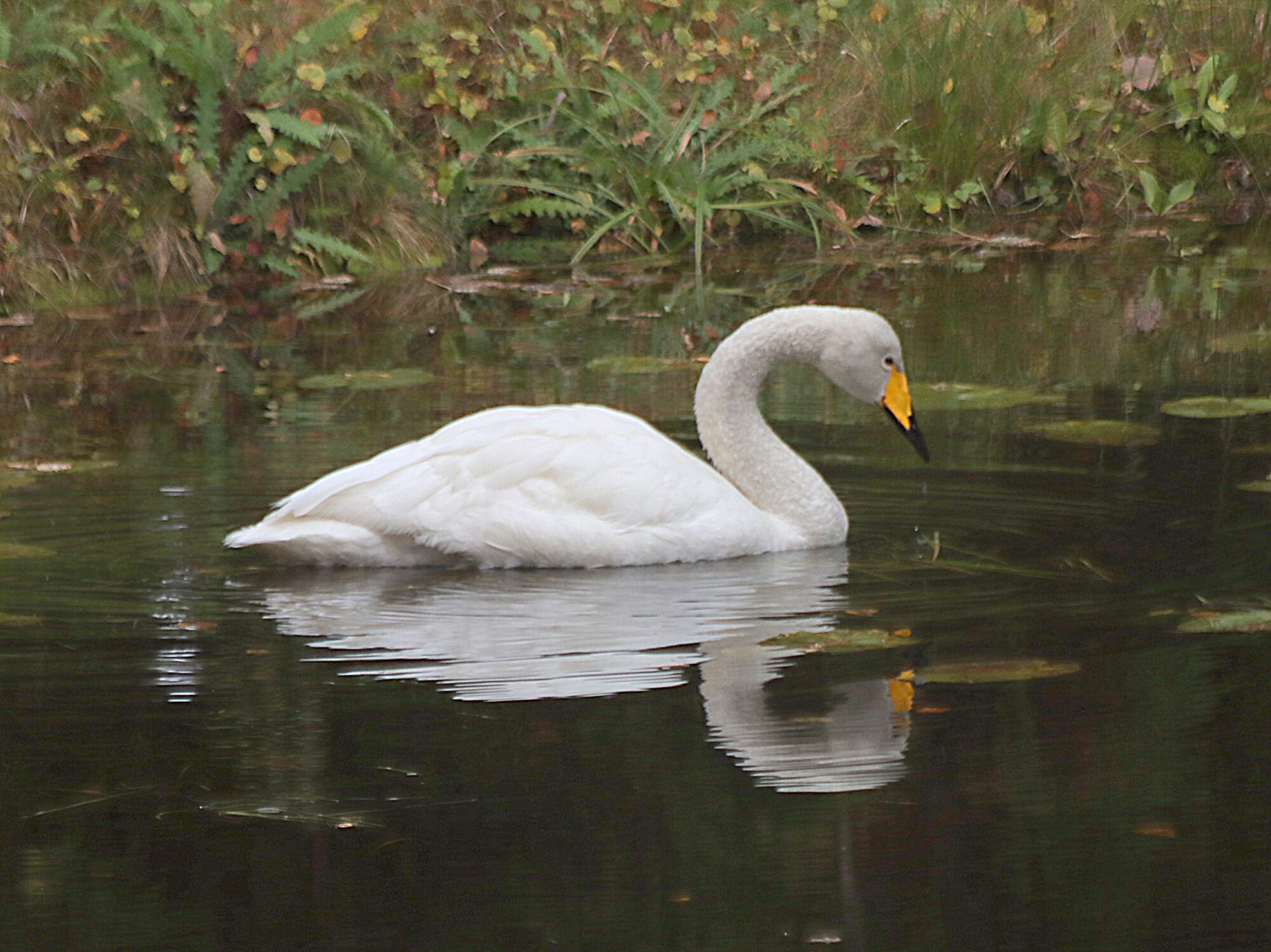 Valokuvaaja: Hannu Rasiranta