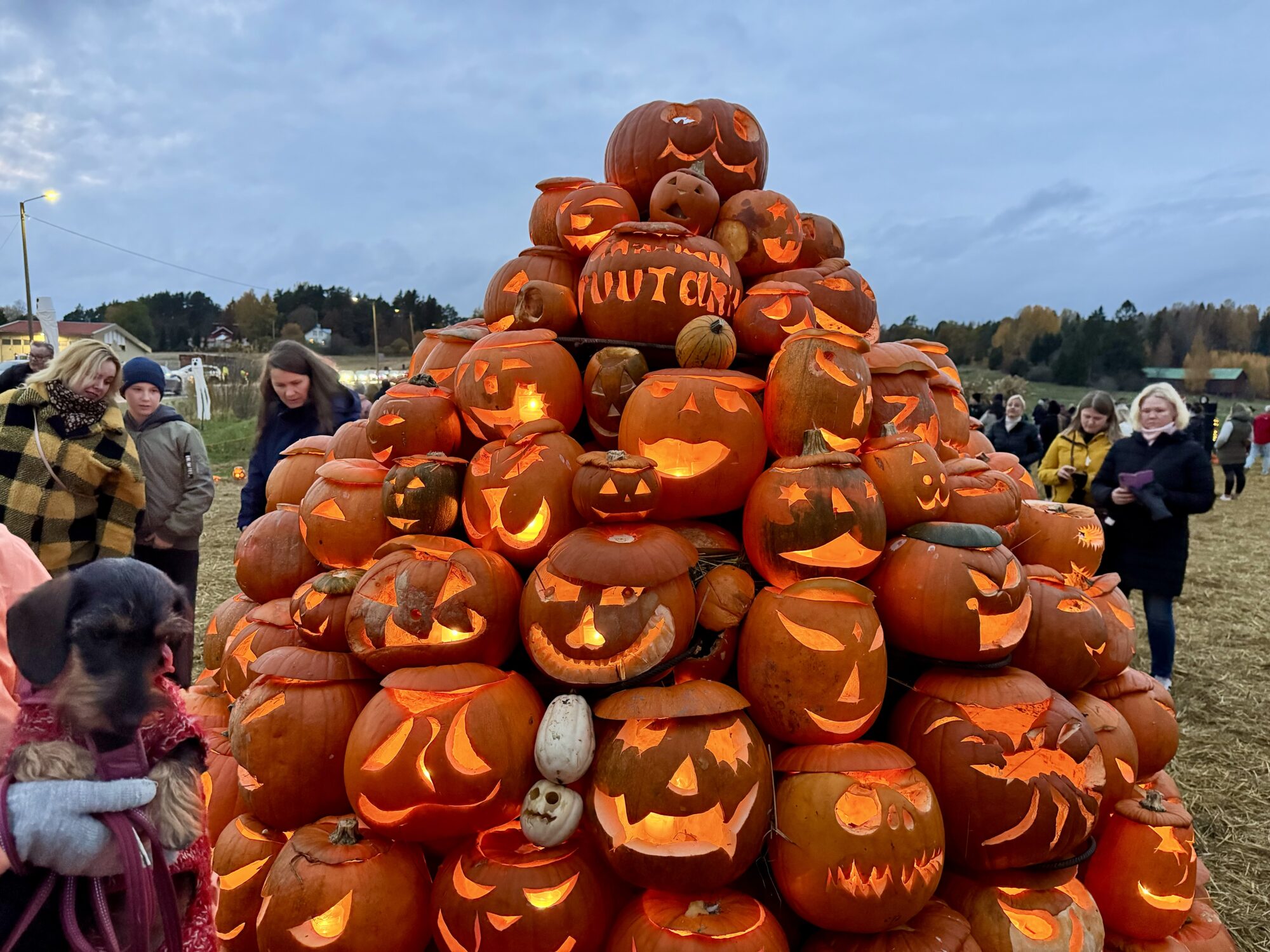 Valokuvaaja: Juhani Peltonen