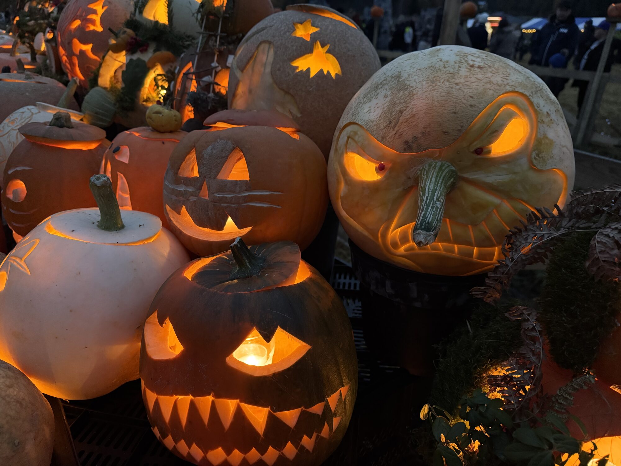 Valokuvaaja: Juhani Peltonen