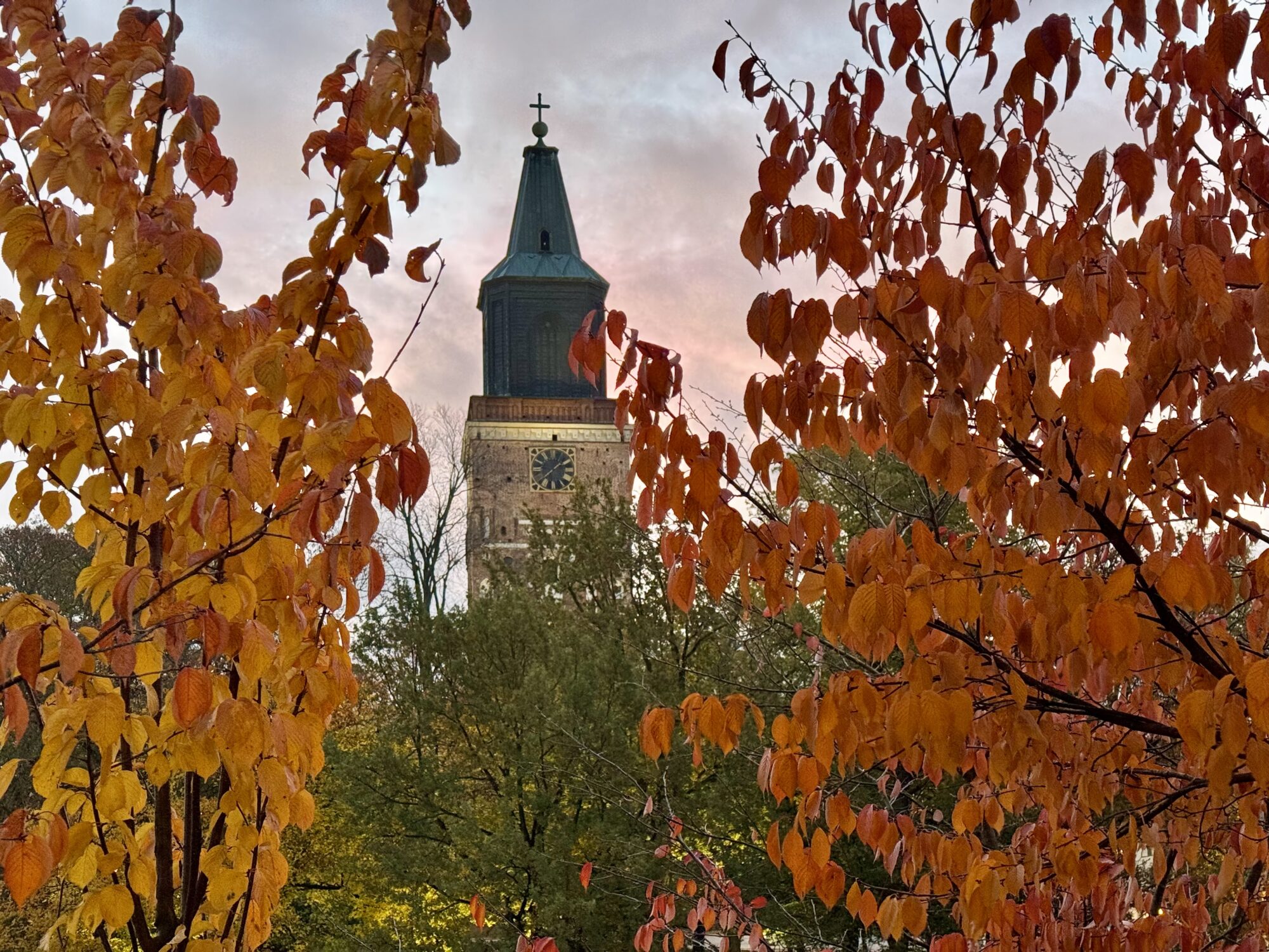 Valokuvaaja: Juhani Peltonen