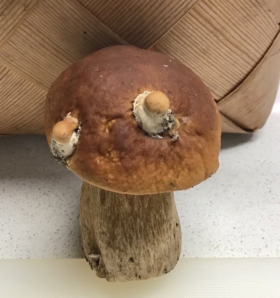 Valokuvaaja: Arja Isoaho