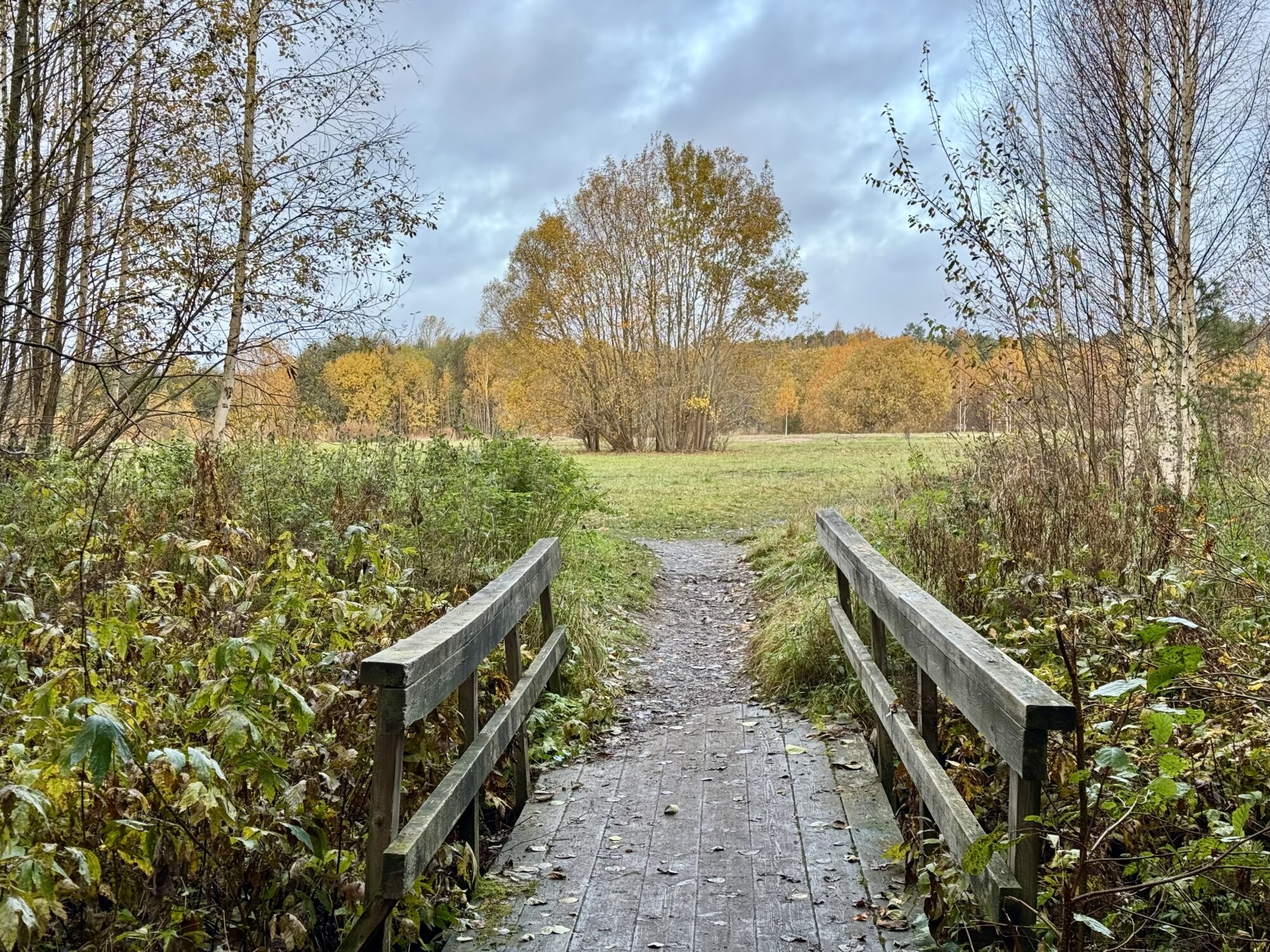 Valokuvaaja: Juhani Peltonen