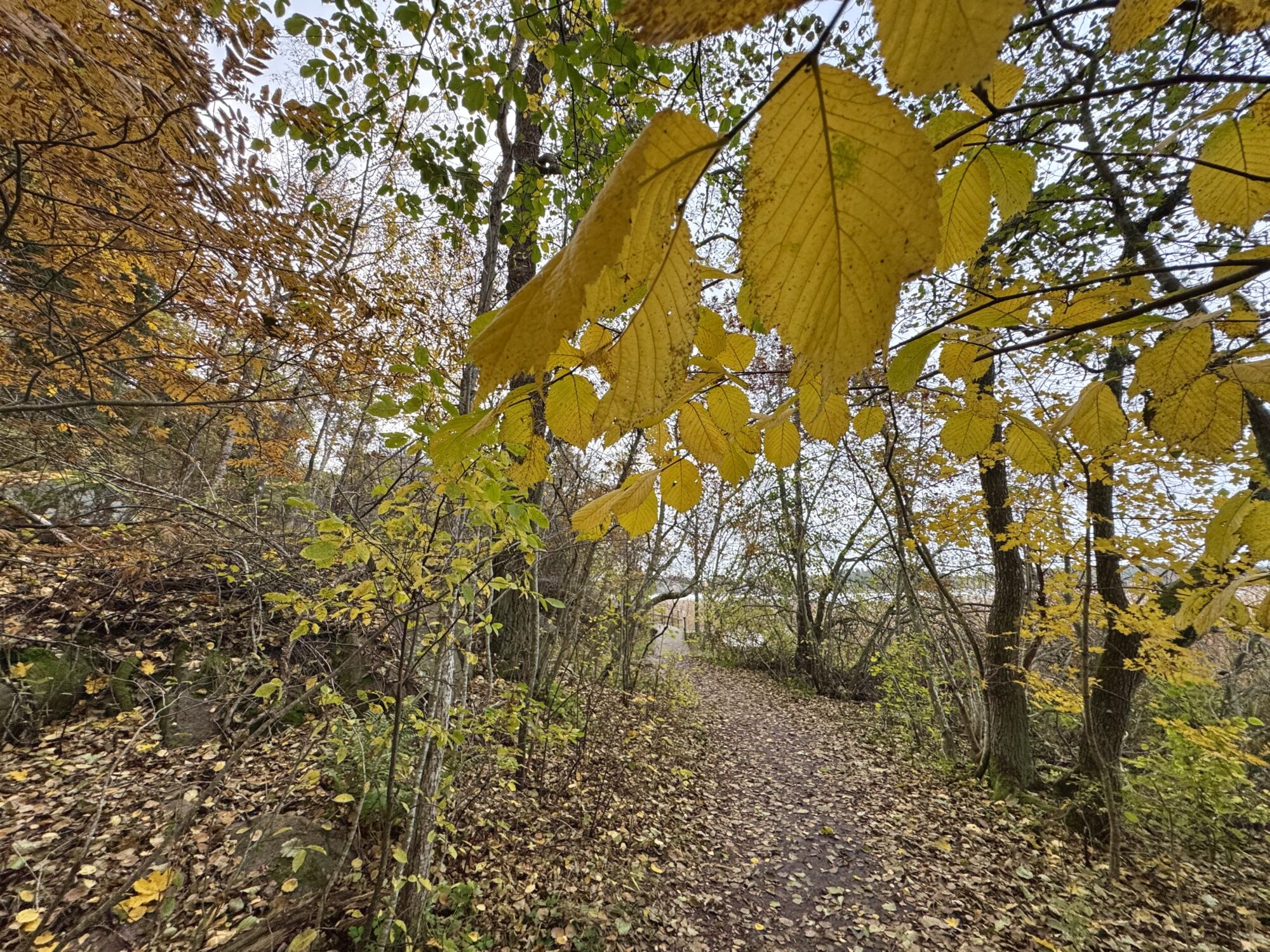 Valokuvaaja: Juhani Peltonen