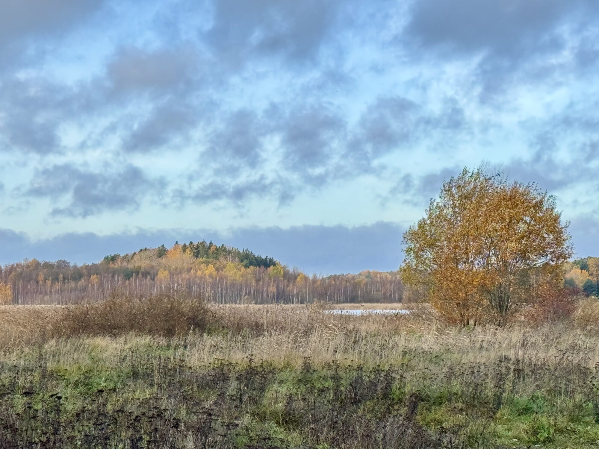 Valokuvaaja: Juhani Peltonen
