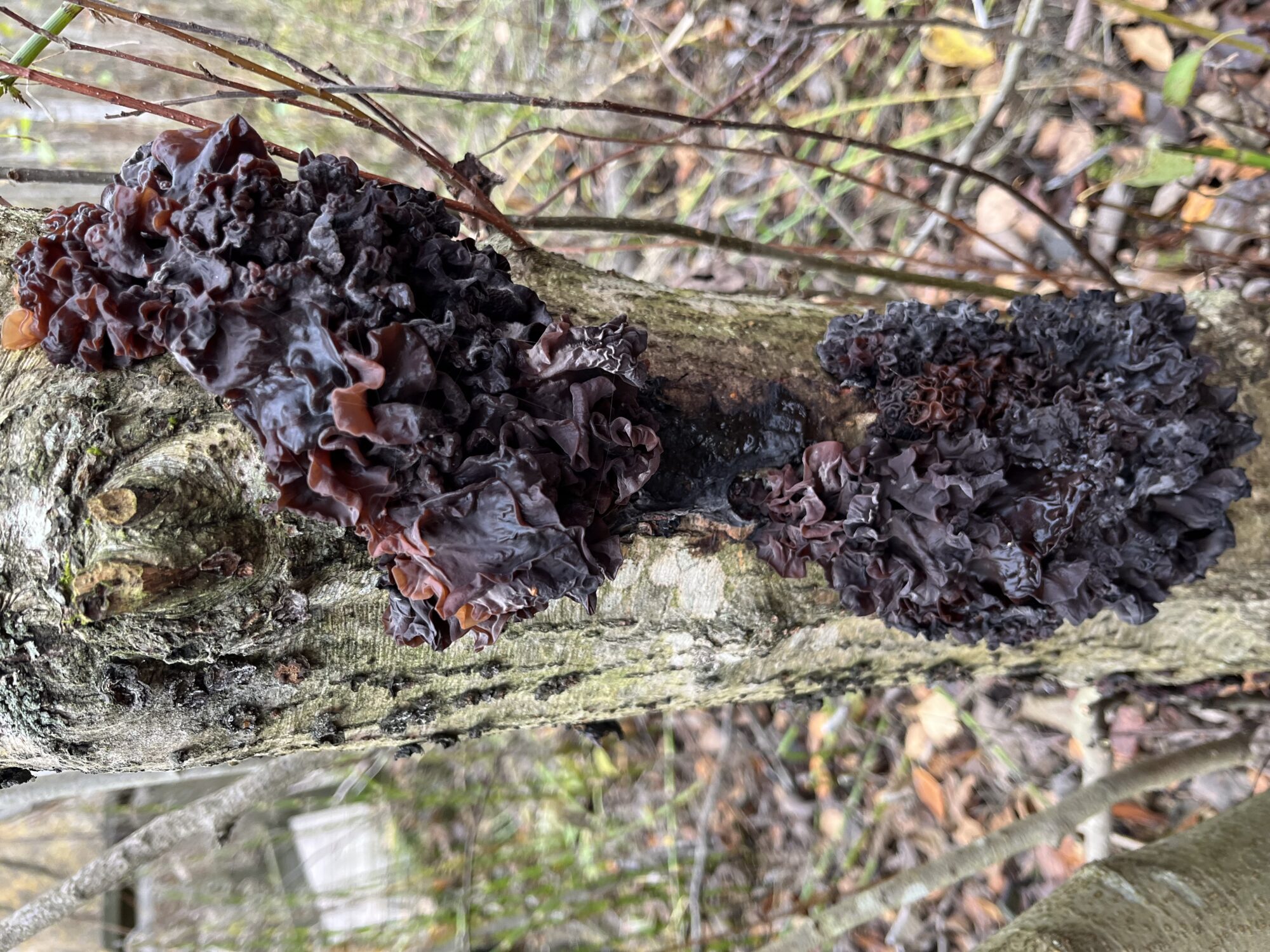 Valokuvaaja: Pirkko Väätäinen