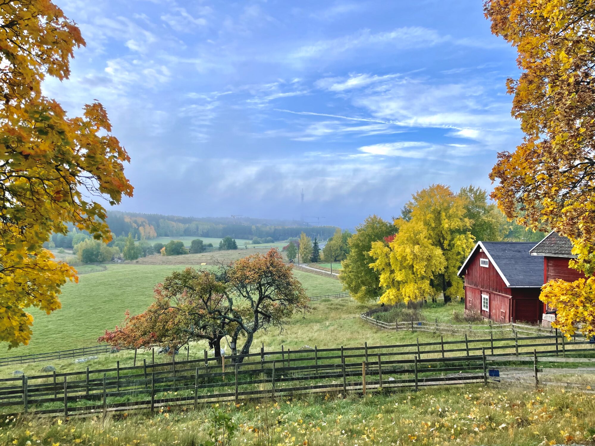 Valokuvaaja: Juhani Peltonen