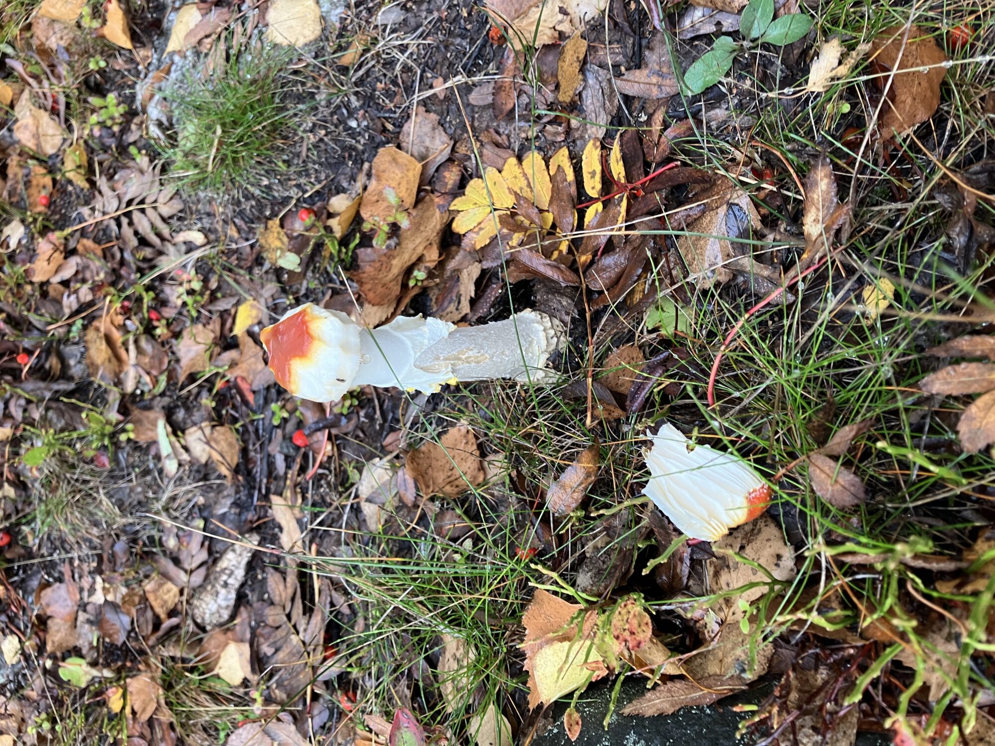 Valokuvaaja: Hannu Tuominen Valokuvaaja: Hannu Tuominen