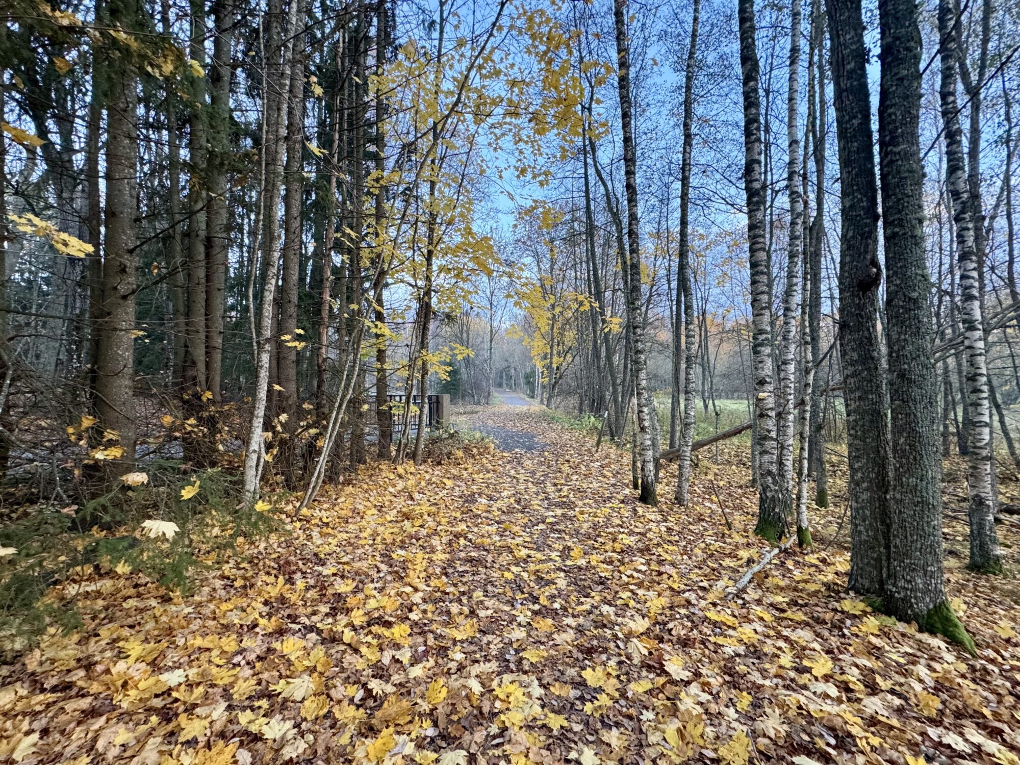 Valokuvaaja: Juhani Peltonen
