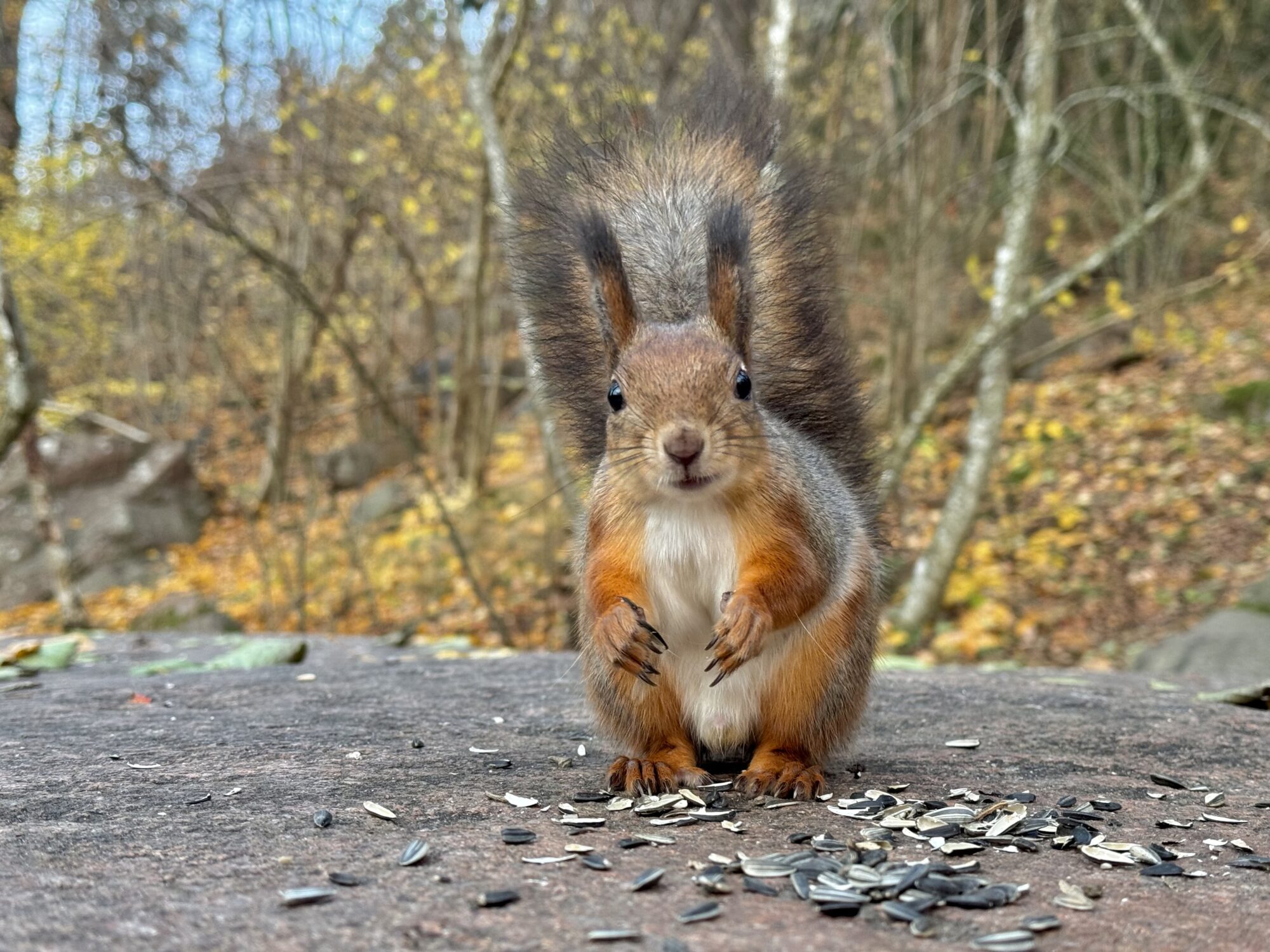 Valokuvaaja: Juhani Peltonen