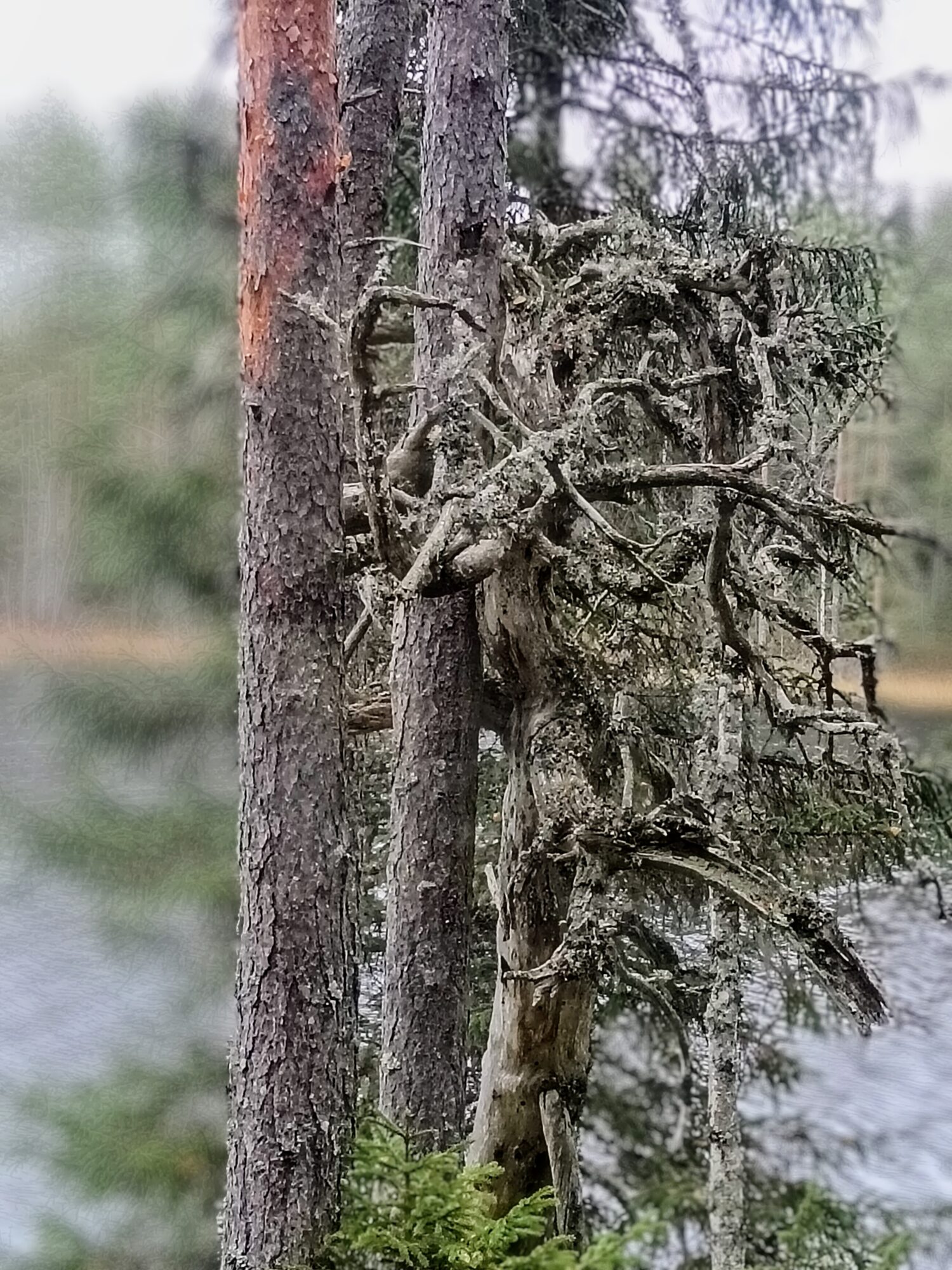 Valokuvaaja: Markku Sorvari