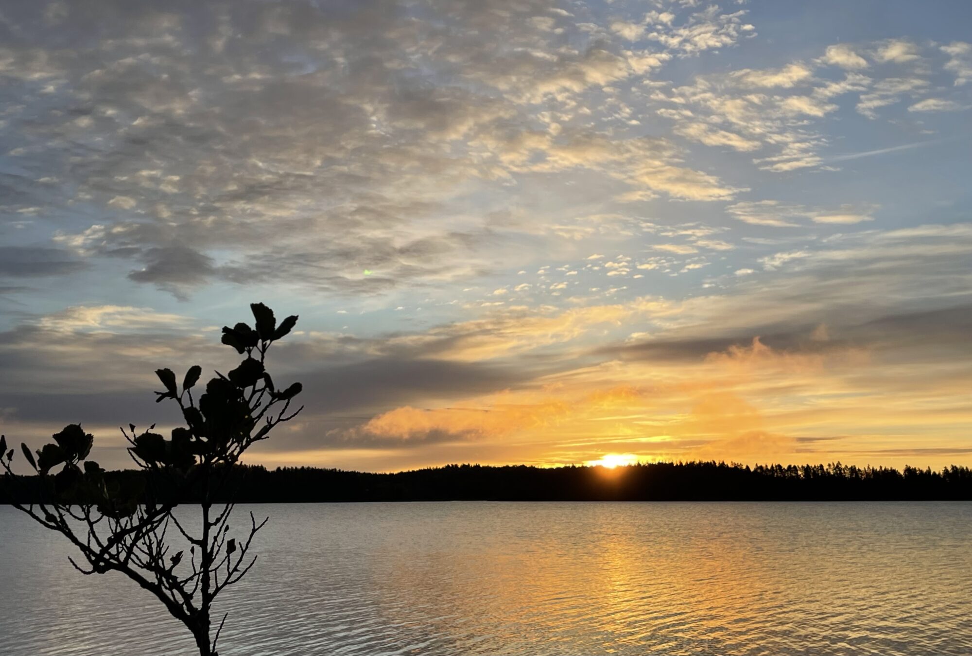 Valokuvaaja: Liisa Niiva-Korpela