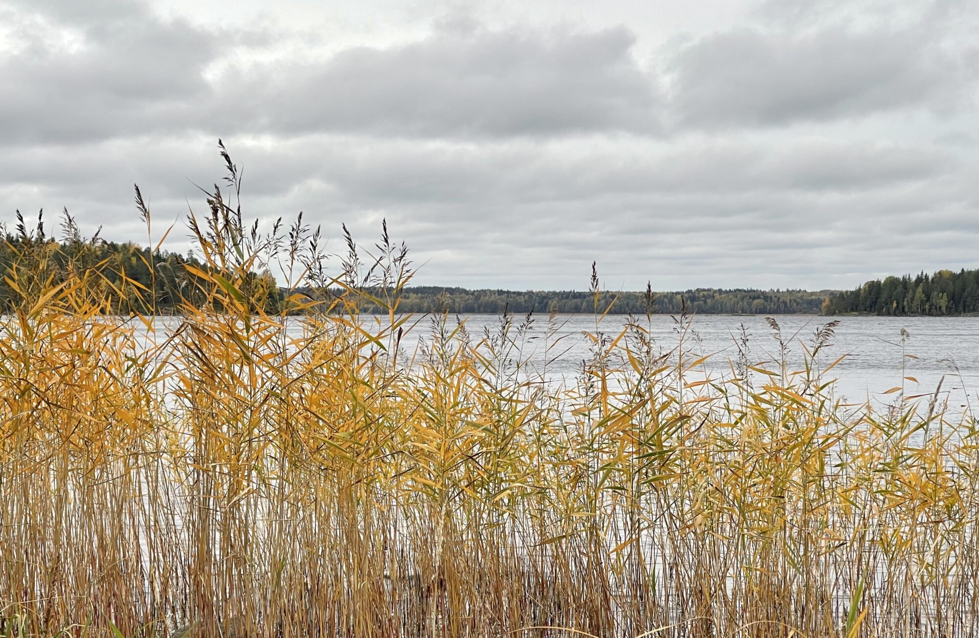 Valokuvaaja: Liisa Niiva-Korpela