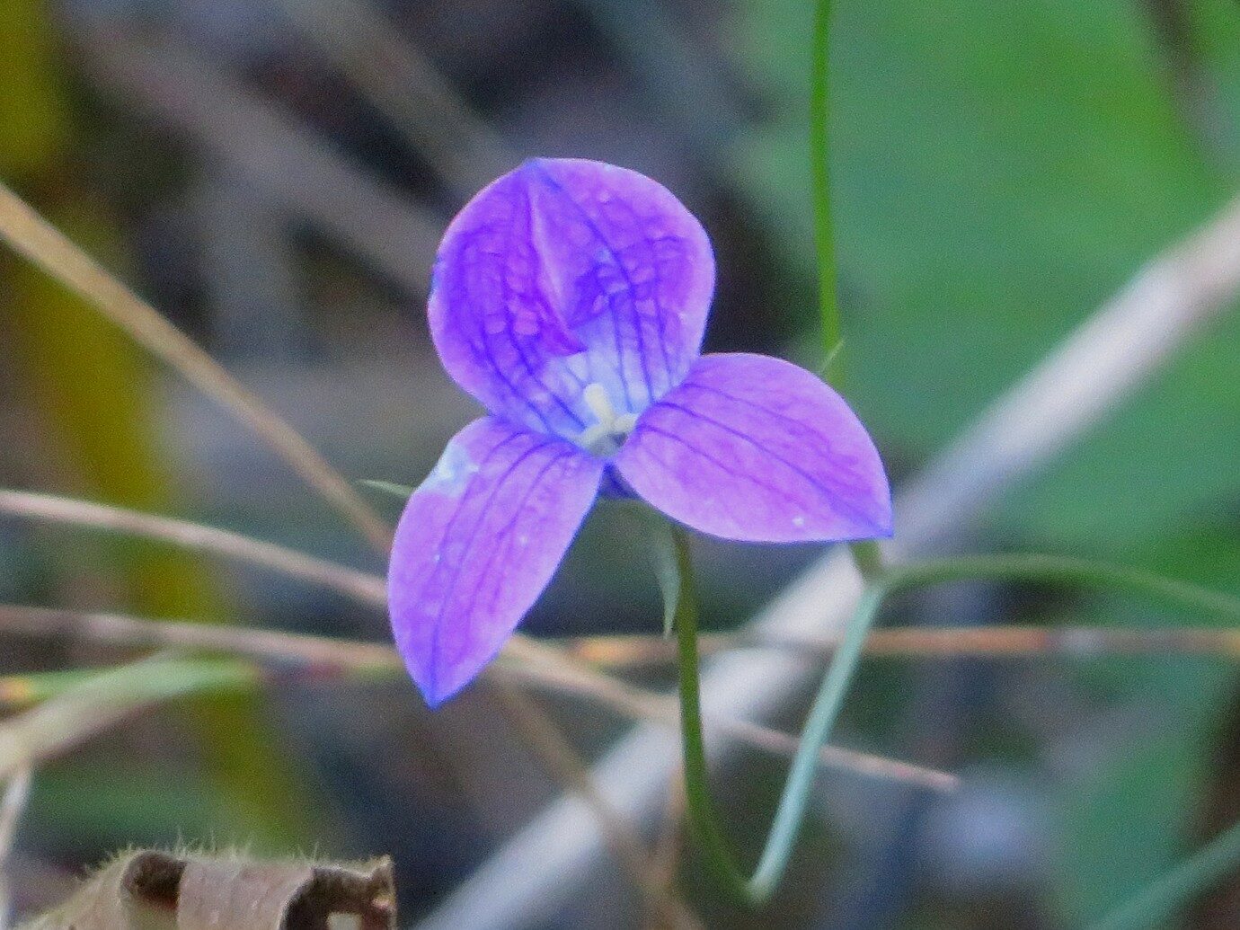 Valokuvaaja: Risto Kangassalo