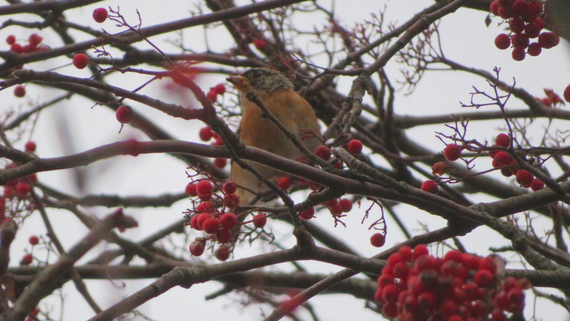 Valokuvaaja: Risto Kangassalo