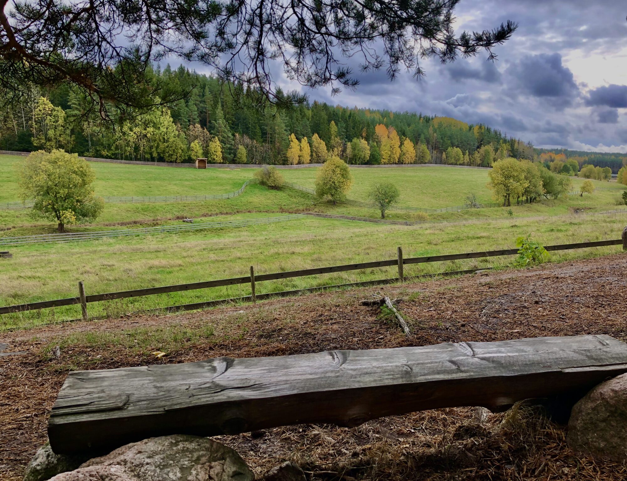 Valokuvaaja: Juhani Peltonen