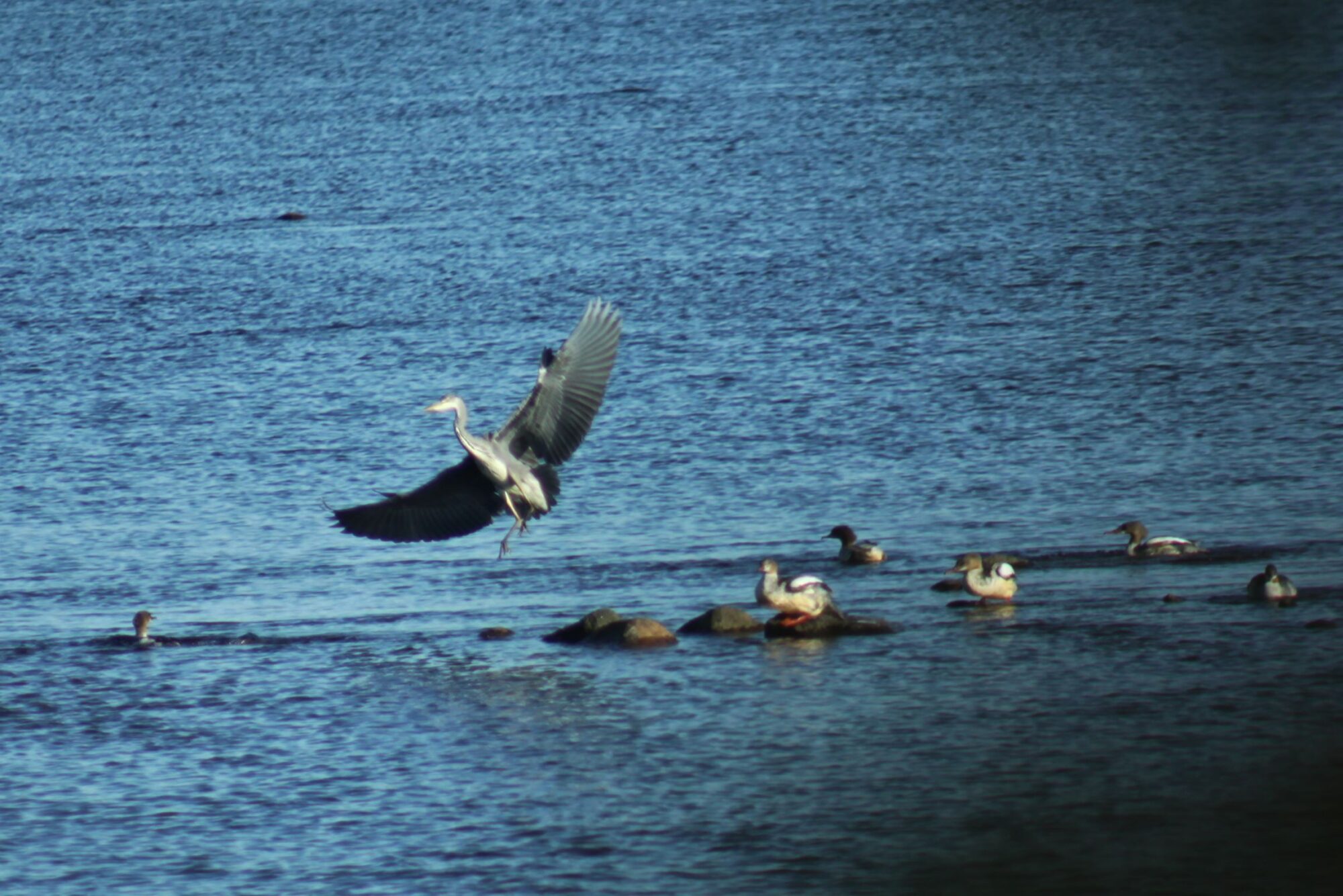 Valokuvaaja: Pirkko Siukonen