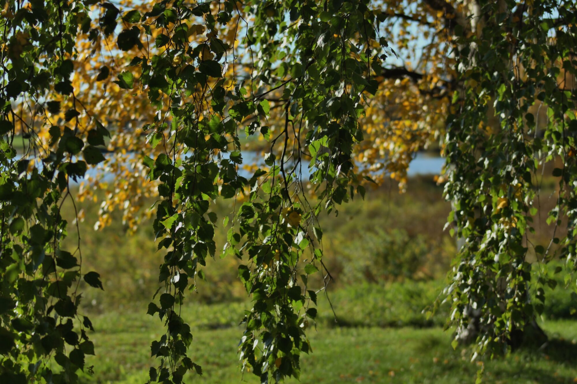 Valokuvaaja: Pirkko Siukonen