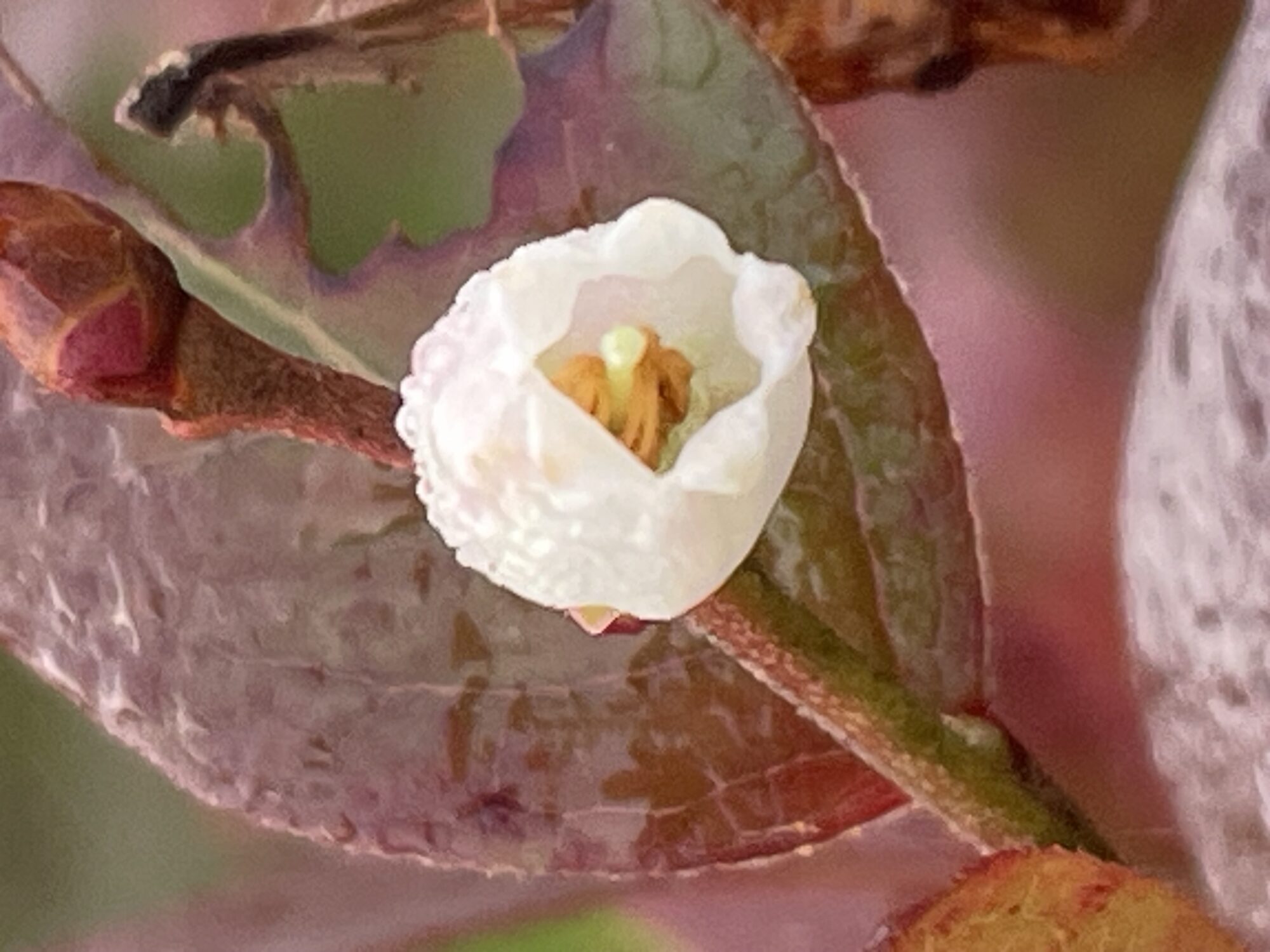 Valokuvaaja: Maiju Salonen