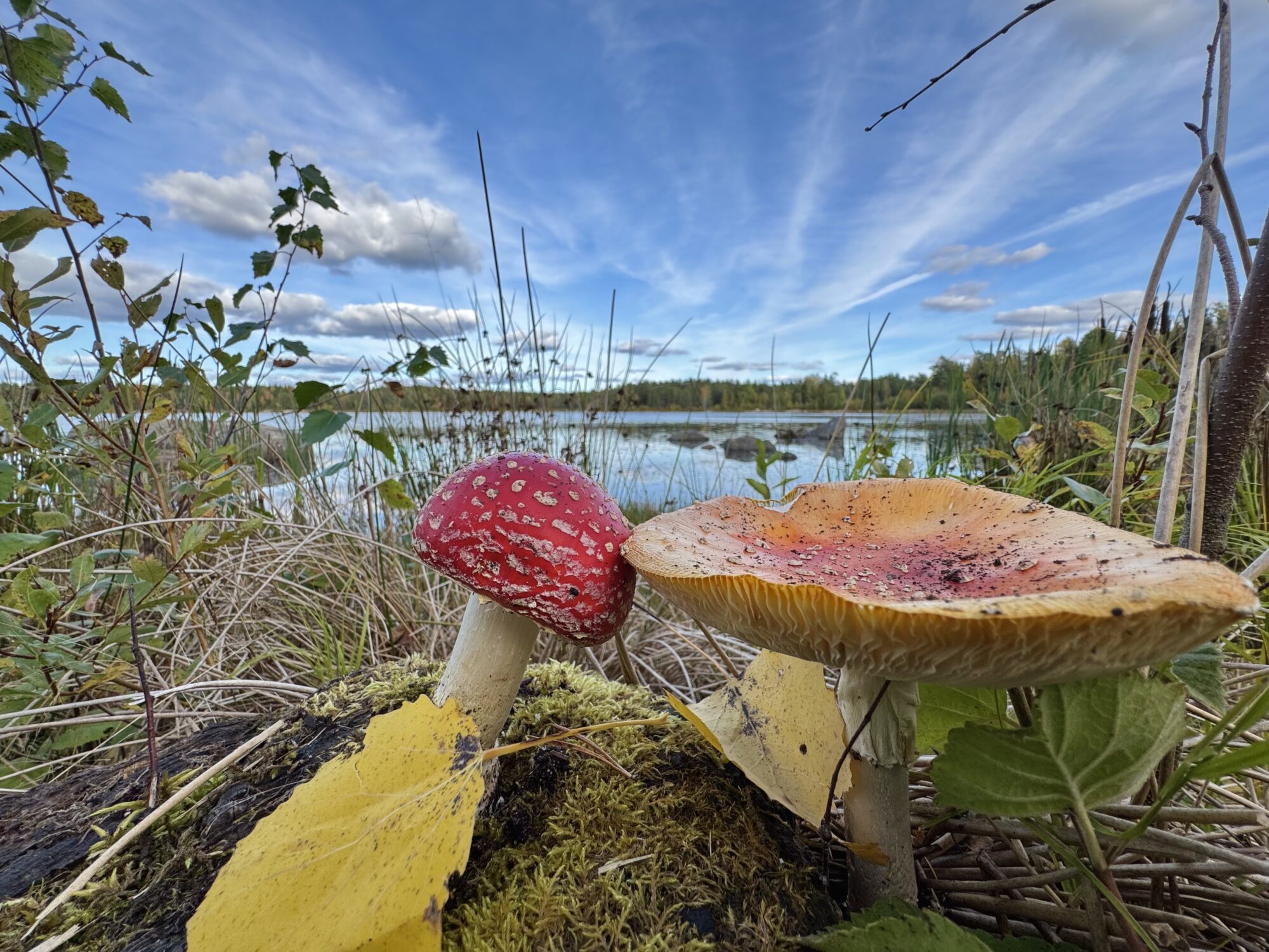 Valokuvaaja: Juhani Peltonen
