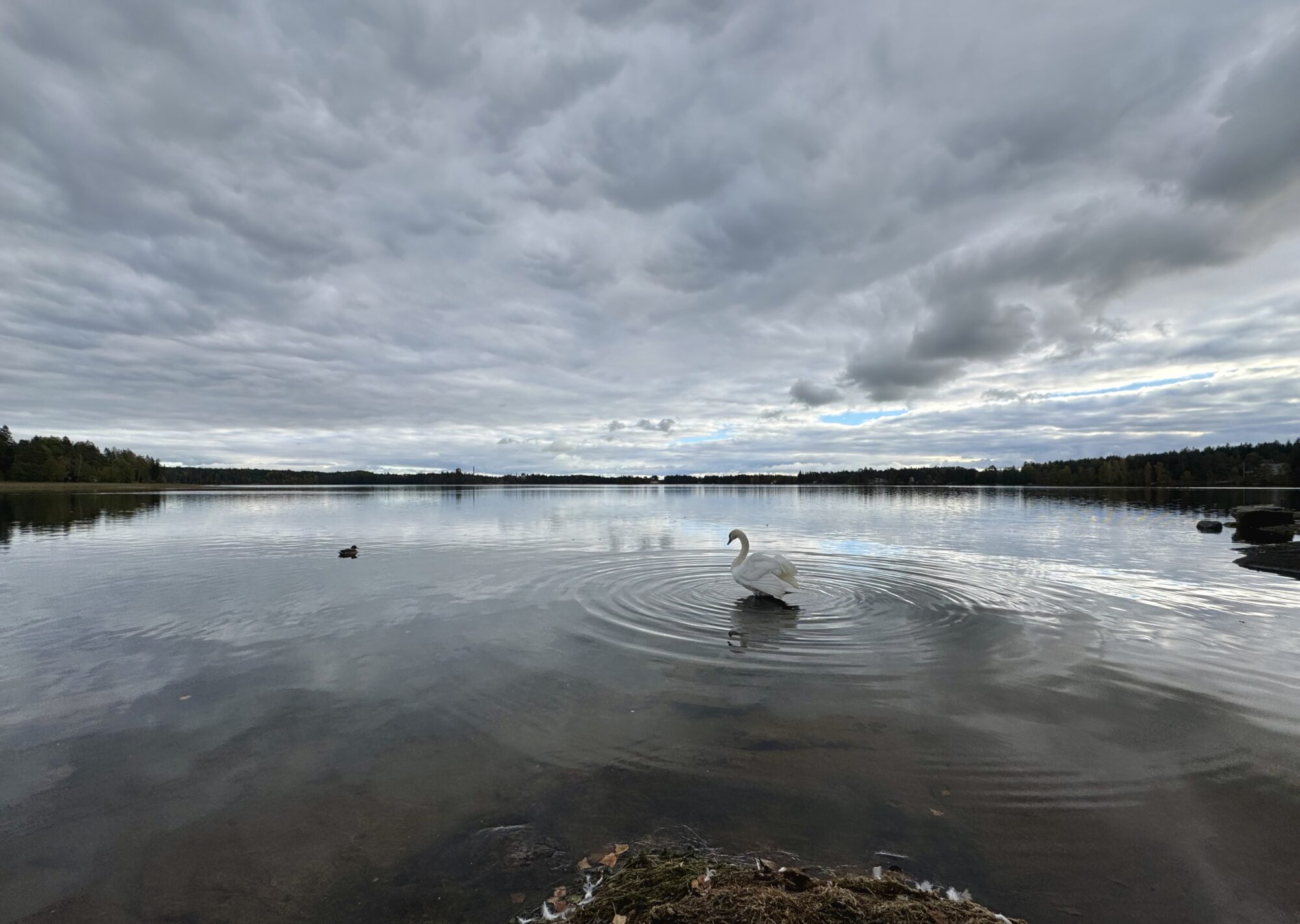Valokuvaaja: Juhani Peltonen