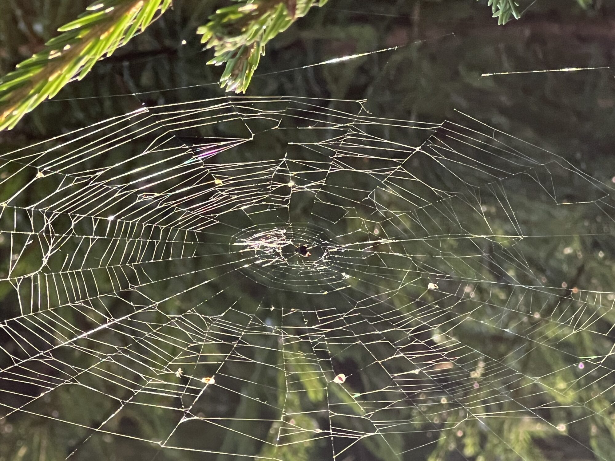 Valokuvaaja: Tomi Seppälä