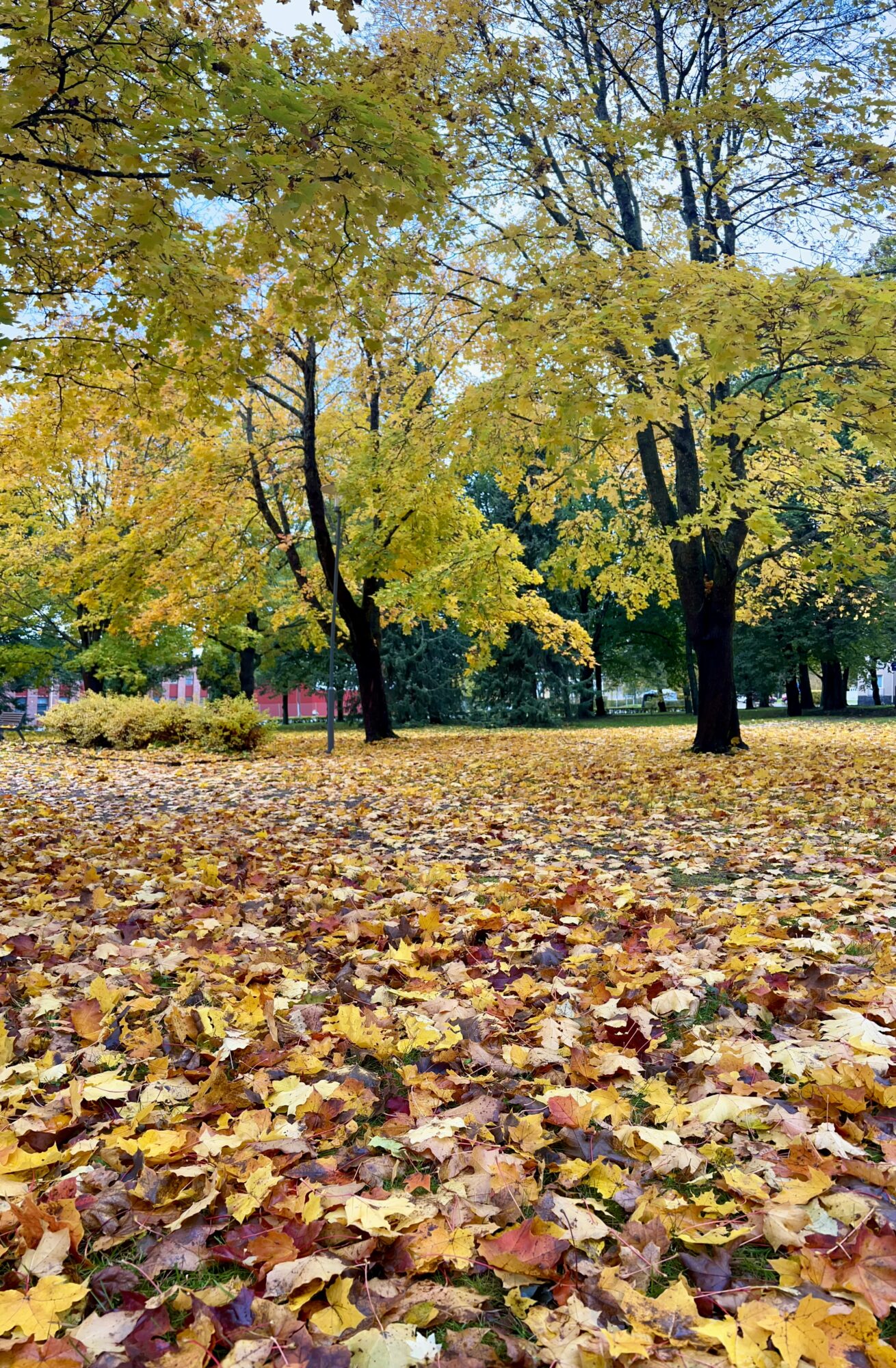 Valokuvaaja: Tapio Keinonen
