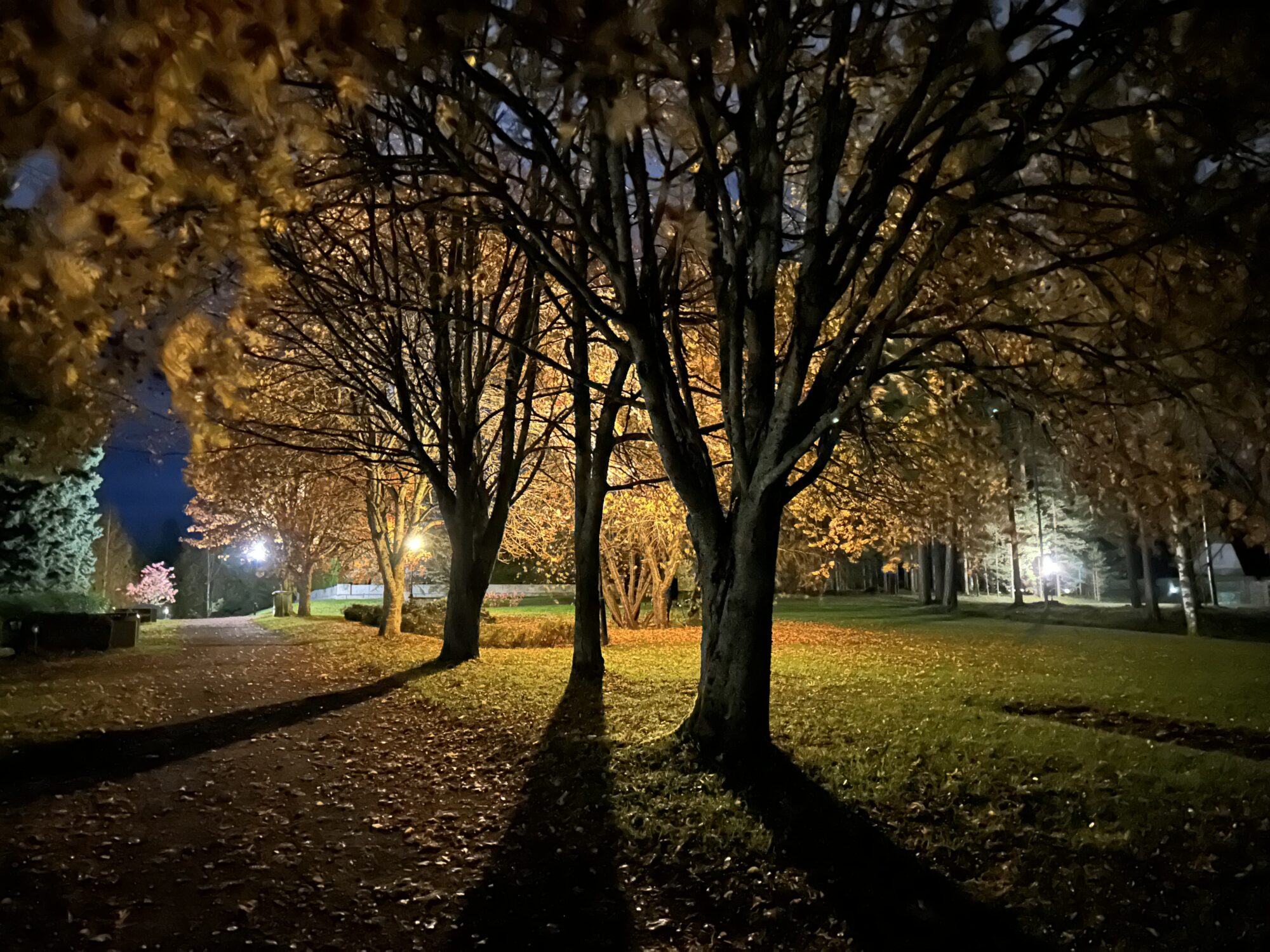 Valokuvaaja: Tapio Keinonen