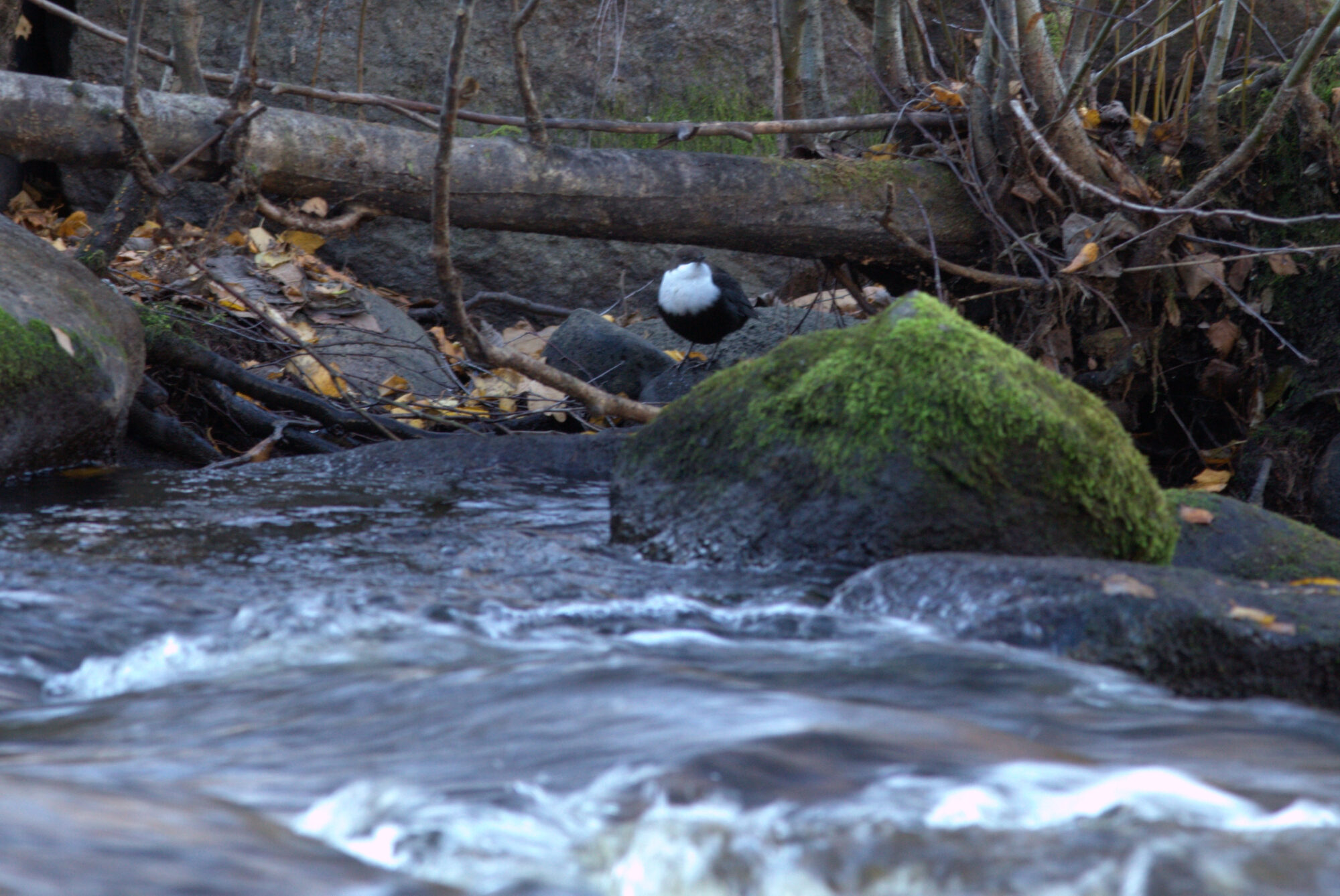 Valokuvaaja: Tapio Keinonen