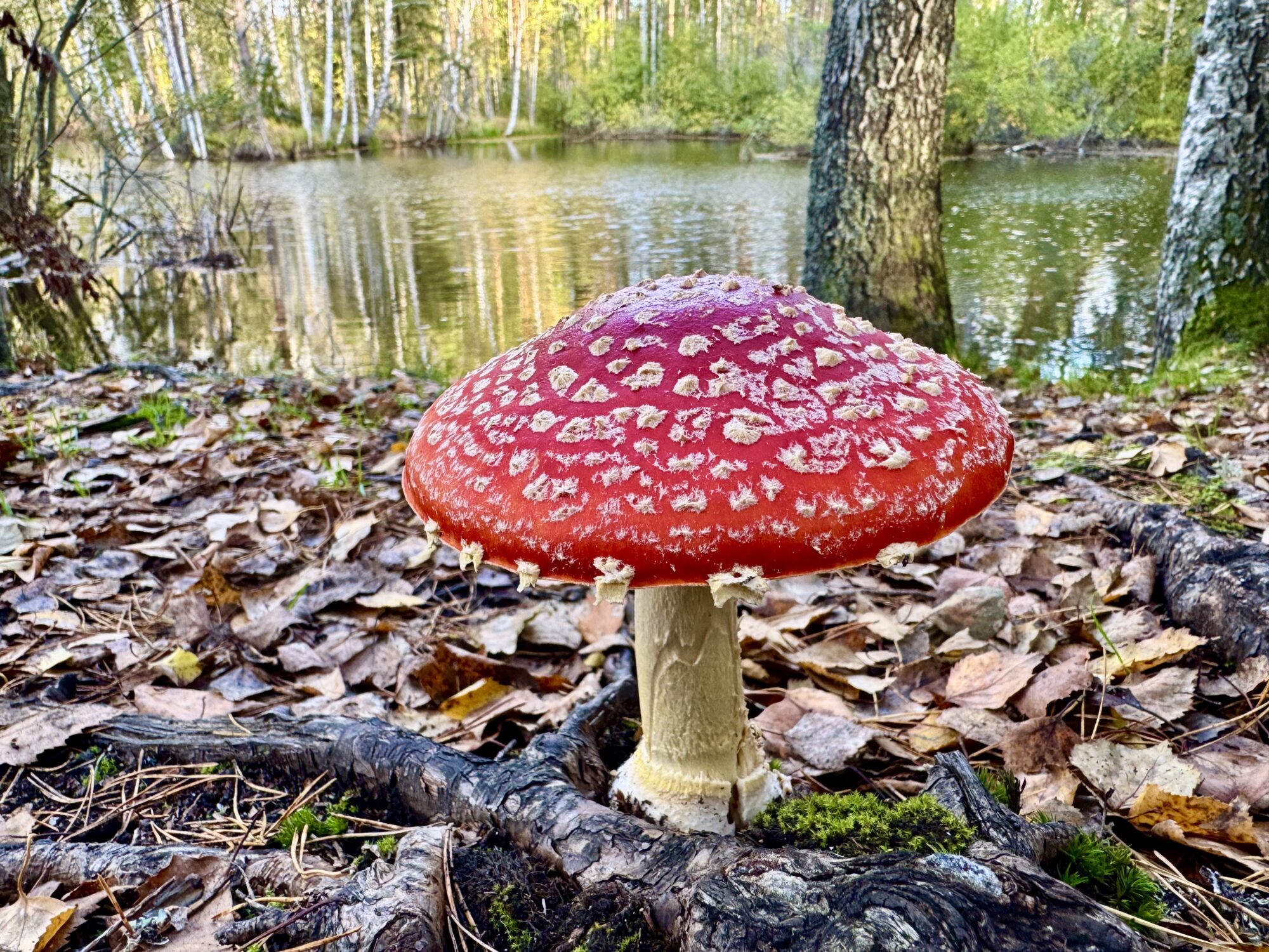 Valokuvaaja: Juhani Peltonen