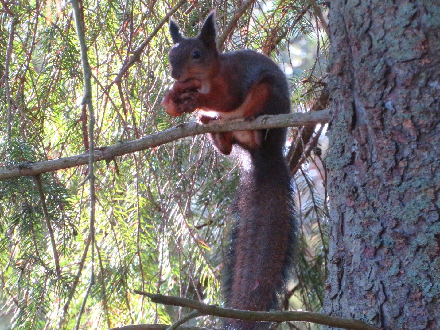 Valokuvaaja: Risto Kangassalo