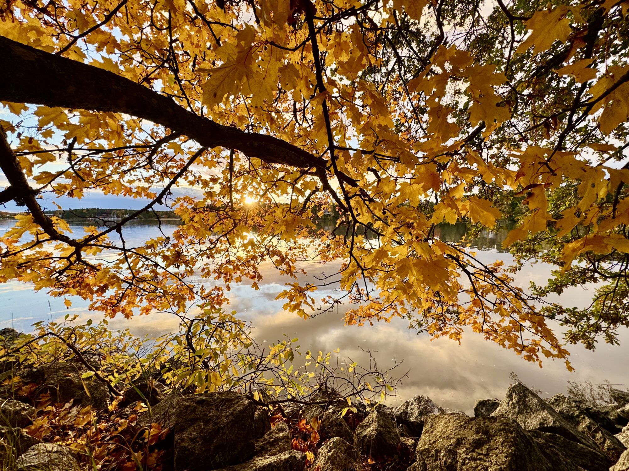 Valokuvaaja: Juhani Peltonen