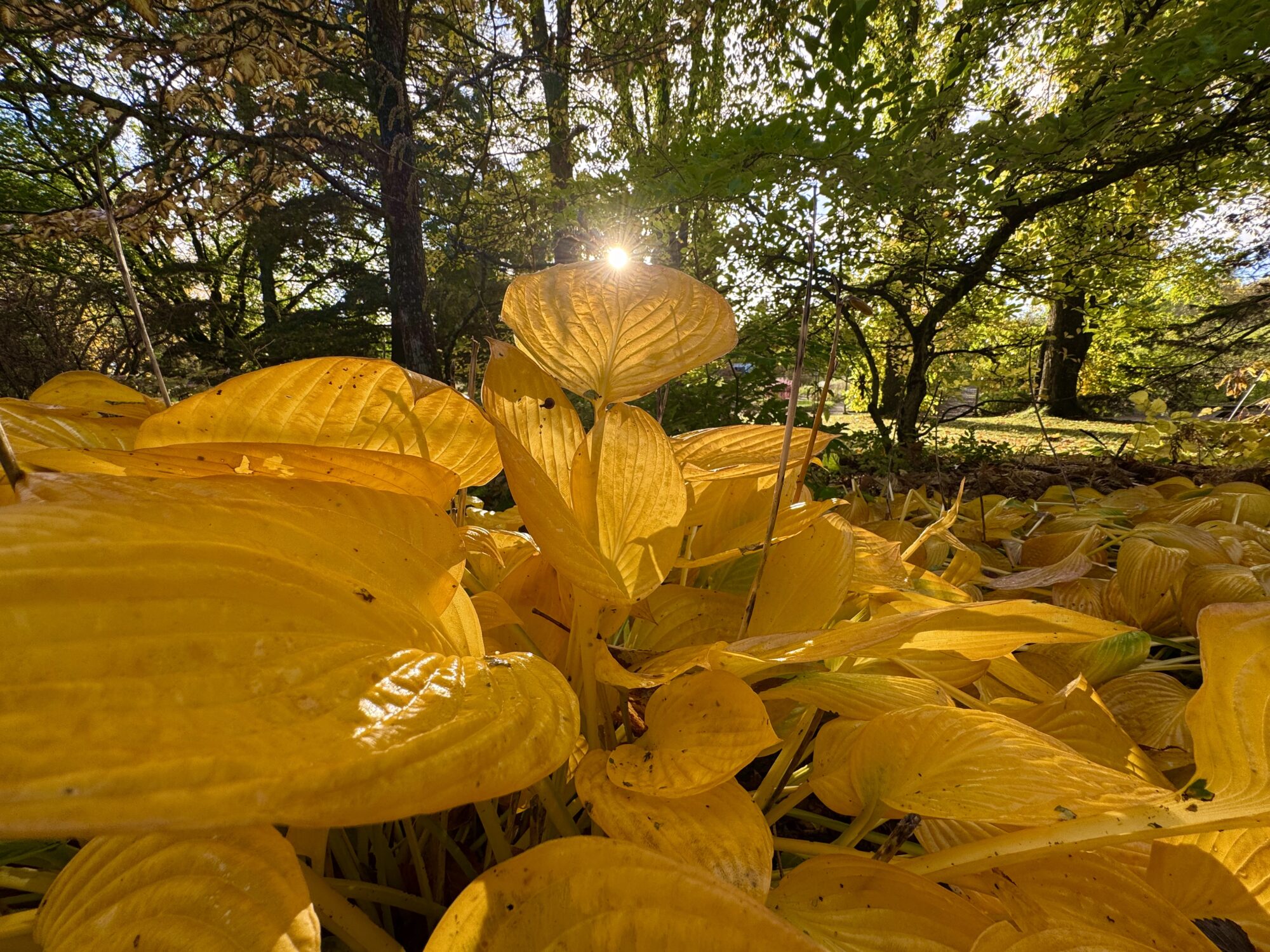Valokuvaaja: Juhani Peltonen
