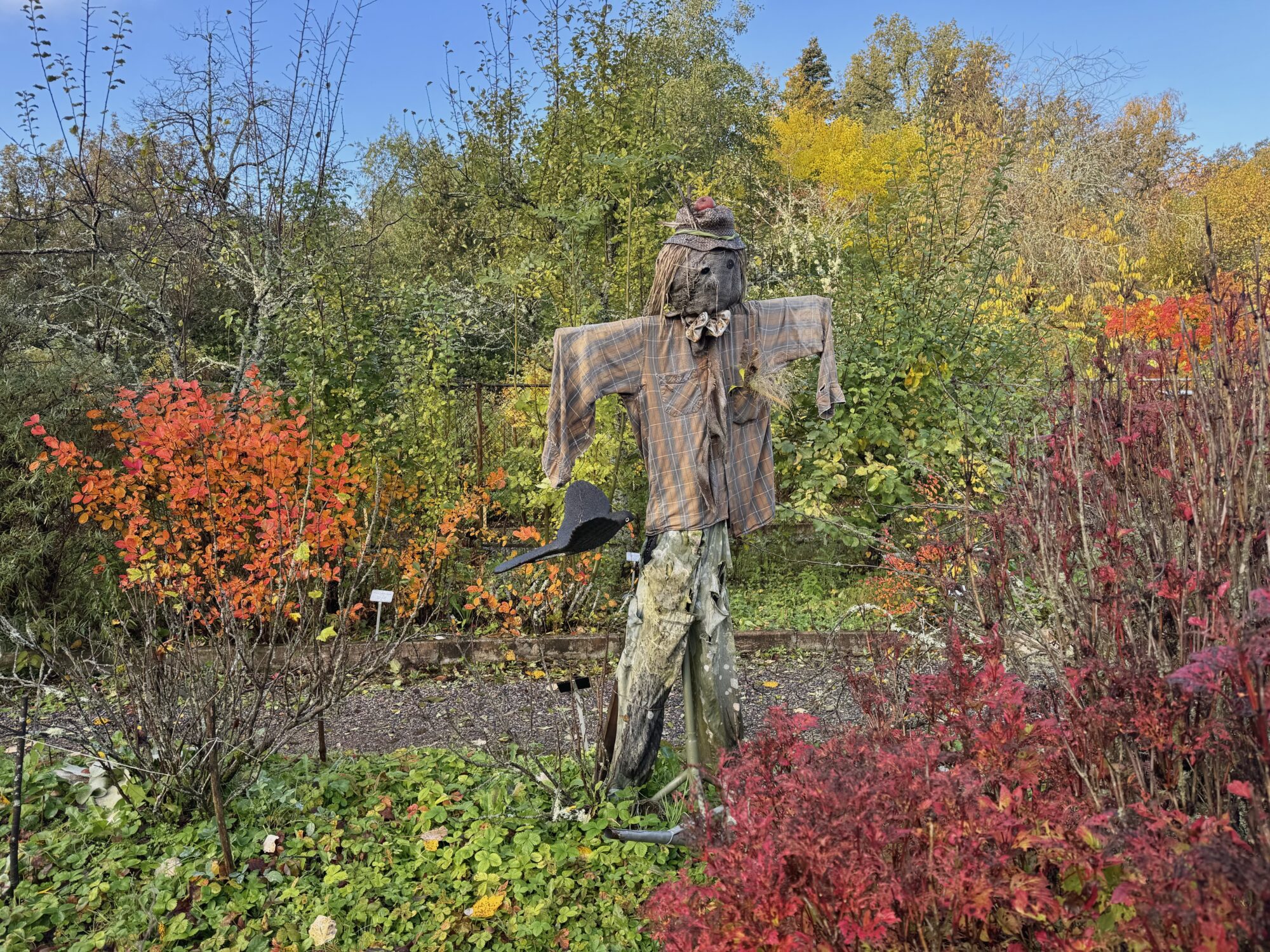 Valokuvaaja: Juhani Peltonen