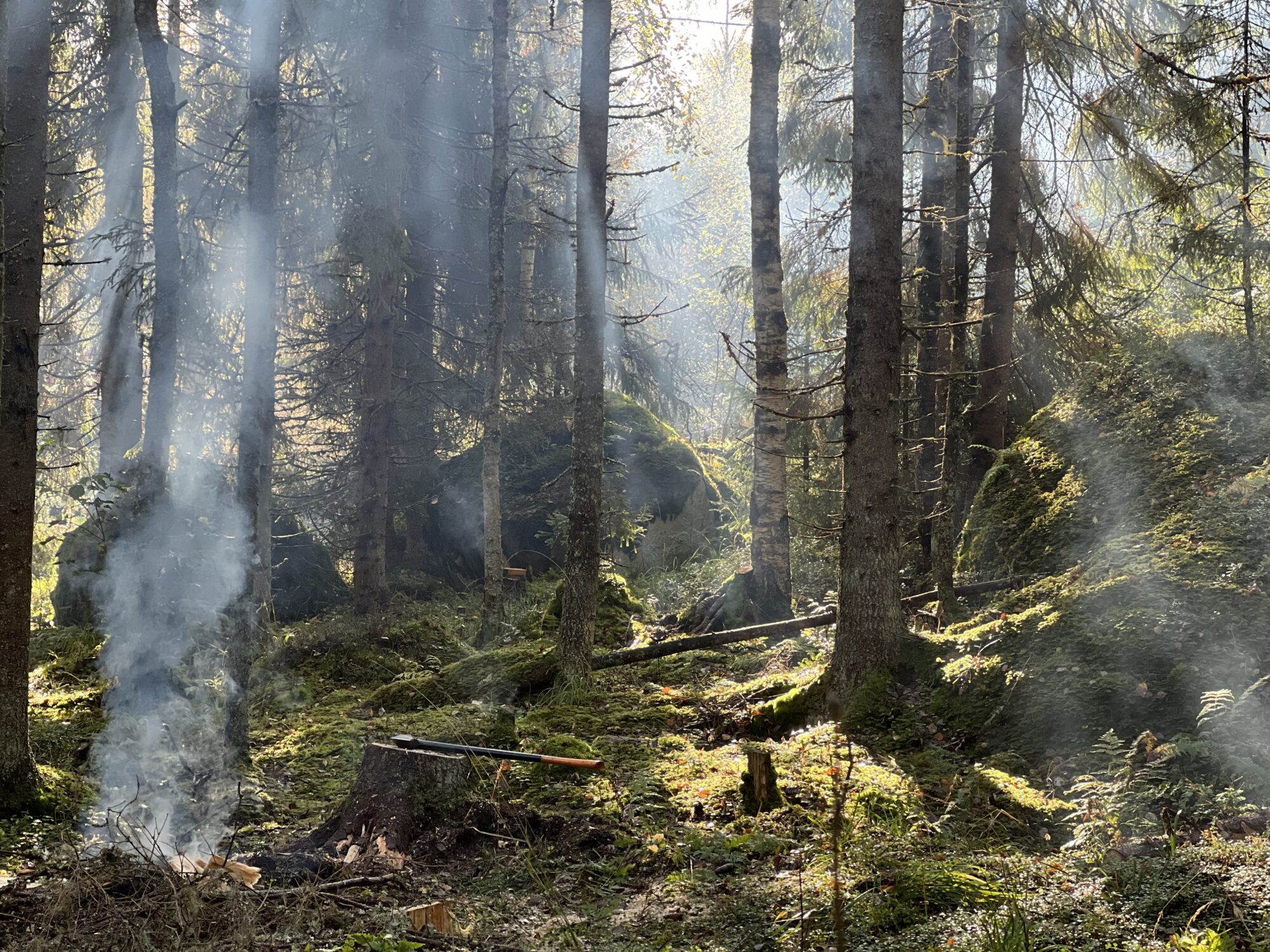 Valokuvaaja: Tomi Seppälä