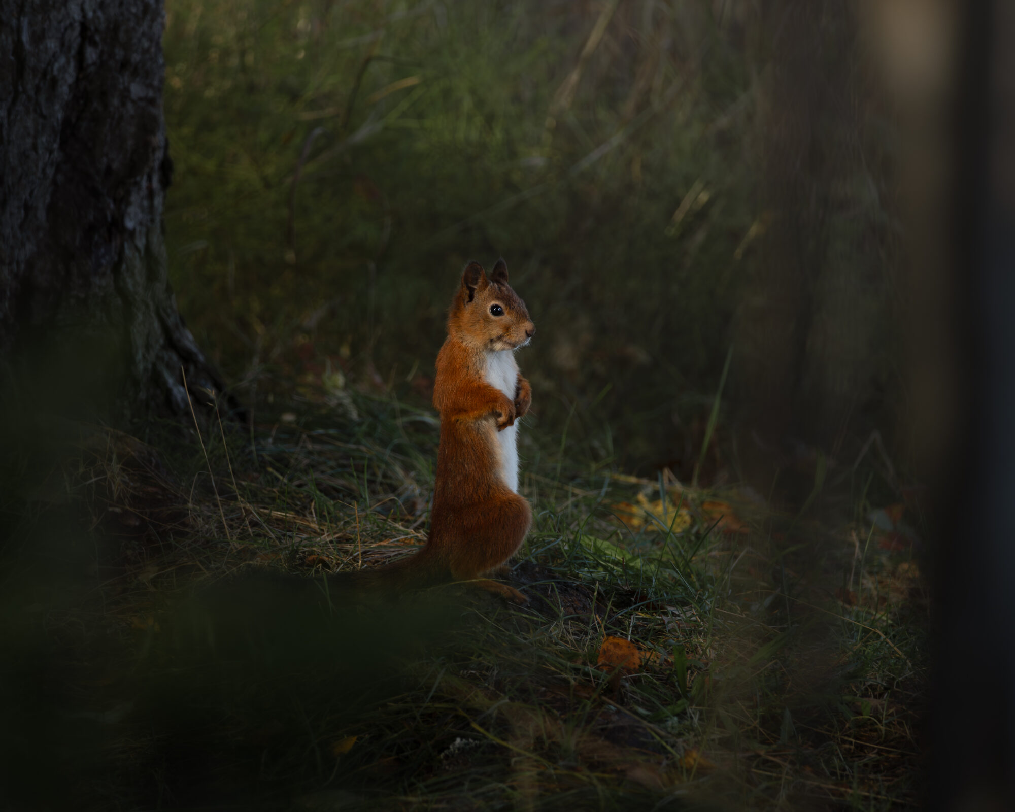 Valokuvaaja: Leevi Halme Valokuvaaja: Leevi Halme