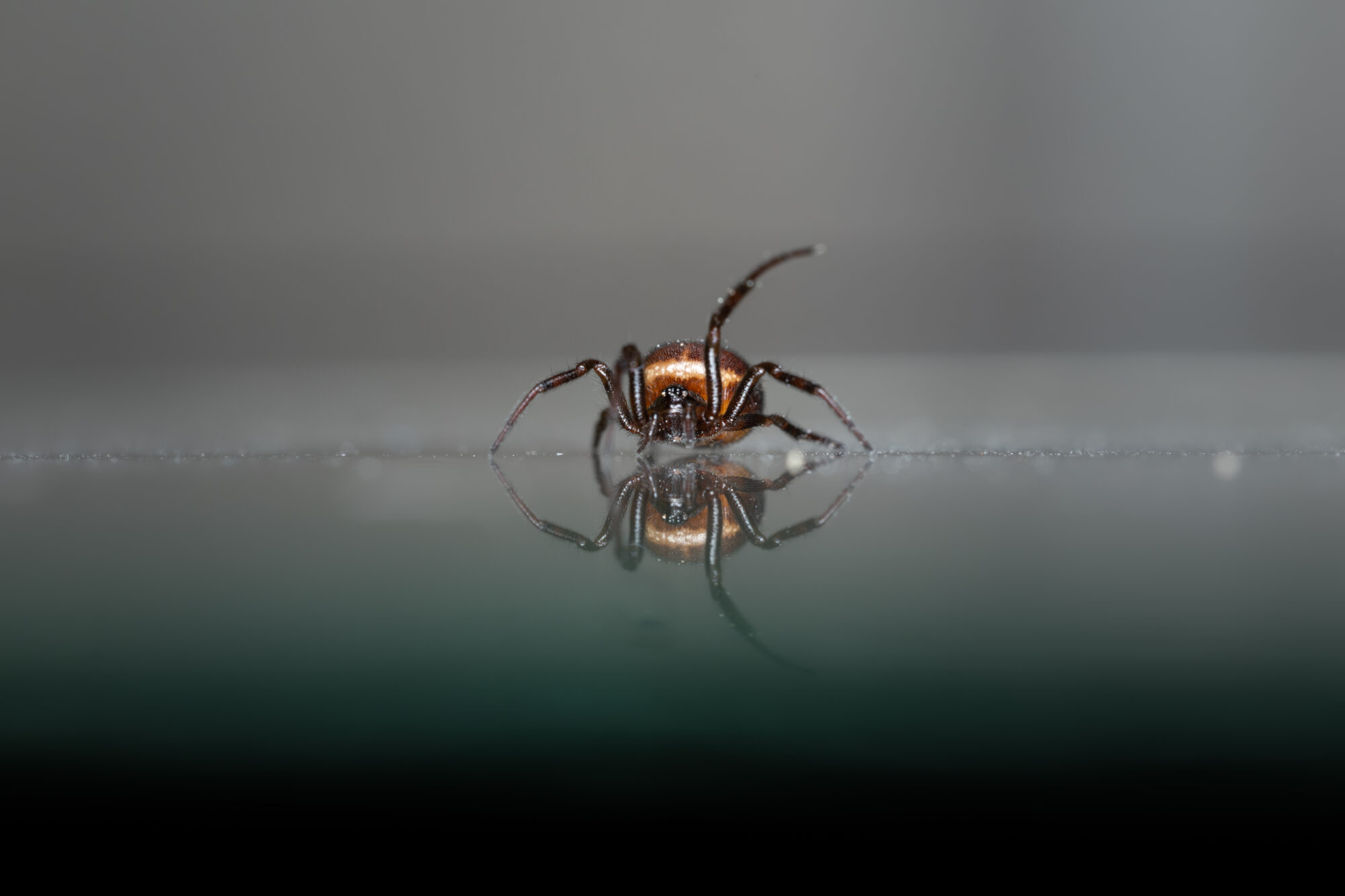 Valokuvaaja: Leevi Halme