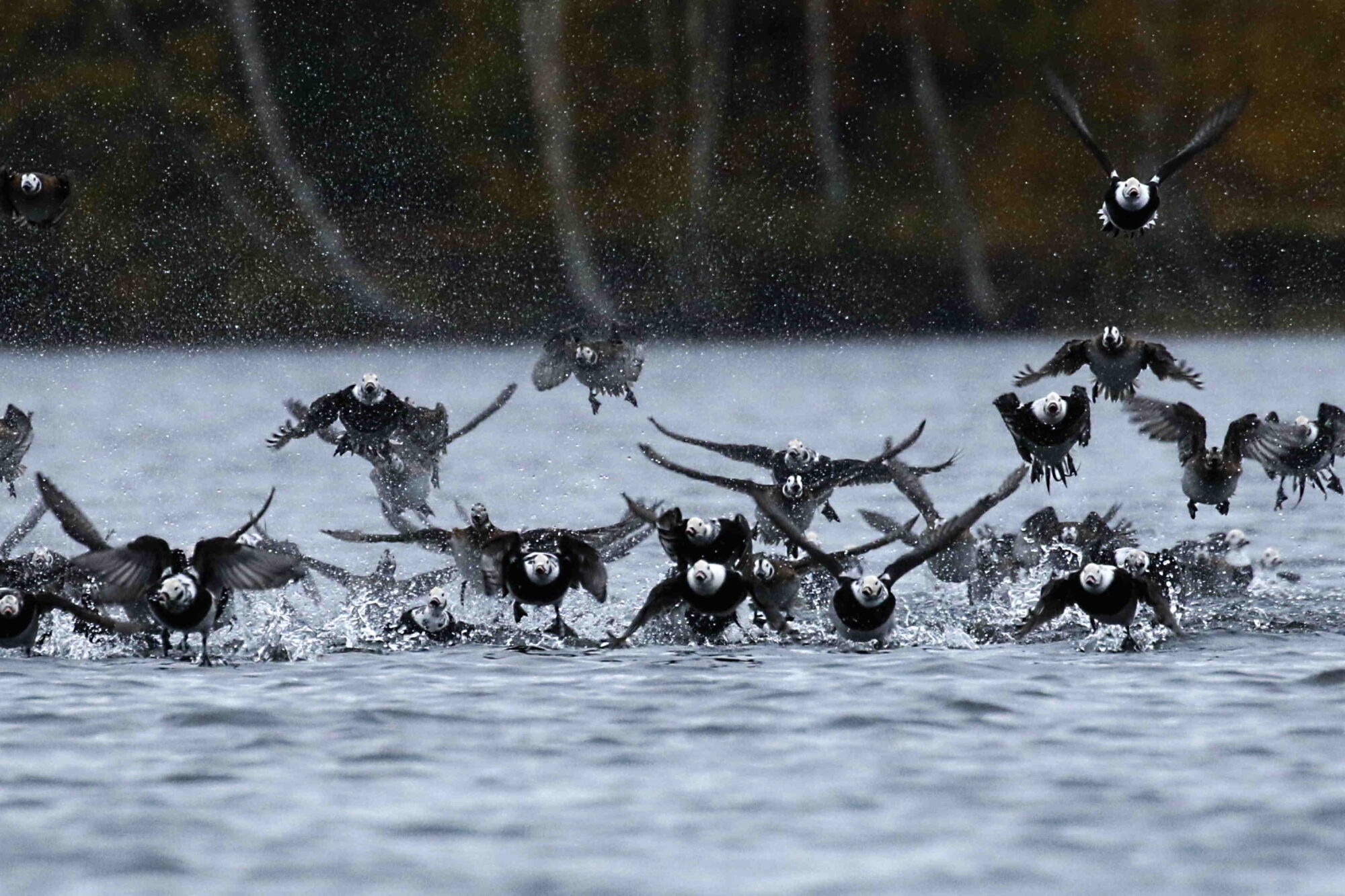 Valokuvaaja: Antero Tykkyläinen