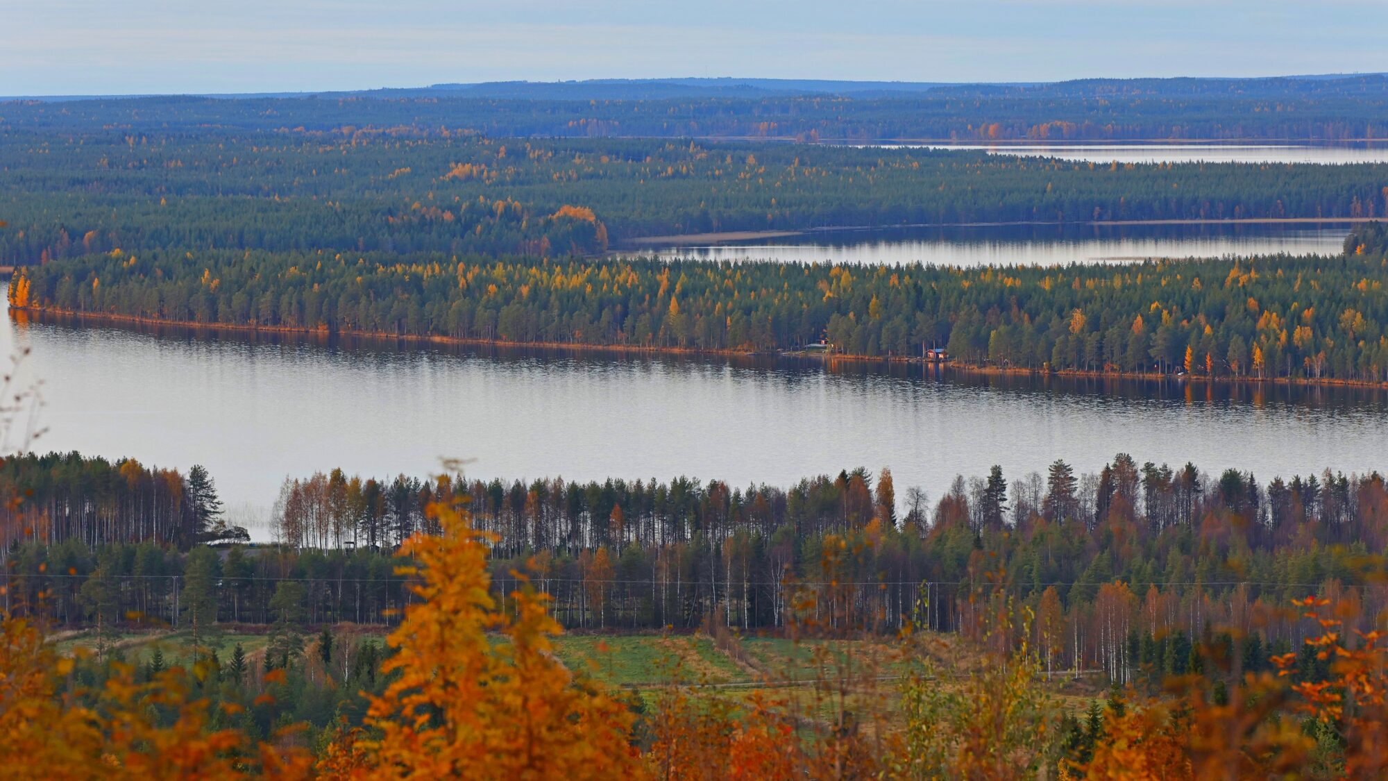 Valokuvaaja: TOMMI KUJALA Valokuvaaja: TOMMI KUJALA