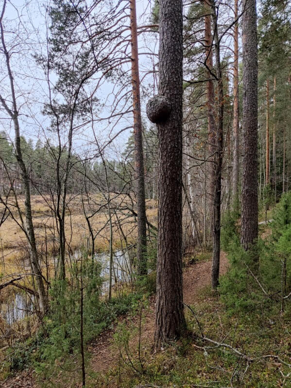 Valokuvaaja: Marita Lahtinen Valokuvaaja: Marita Lahtinen
