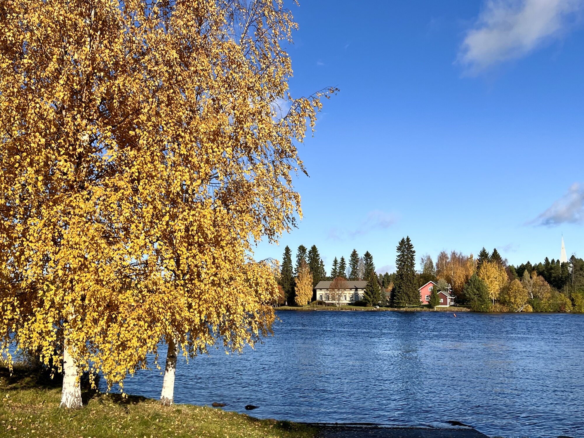 Valokuvaaja: Tuukka Pahtamaa