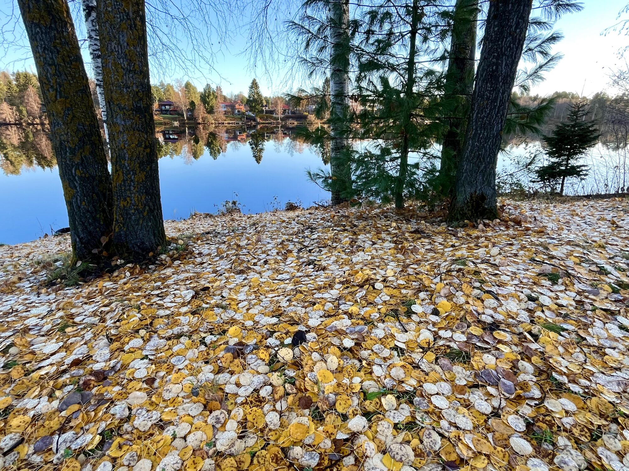 Valokuvaaja: Tuukka Pahtamaa