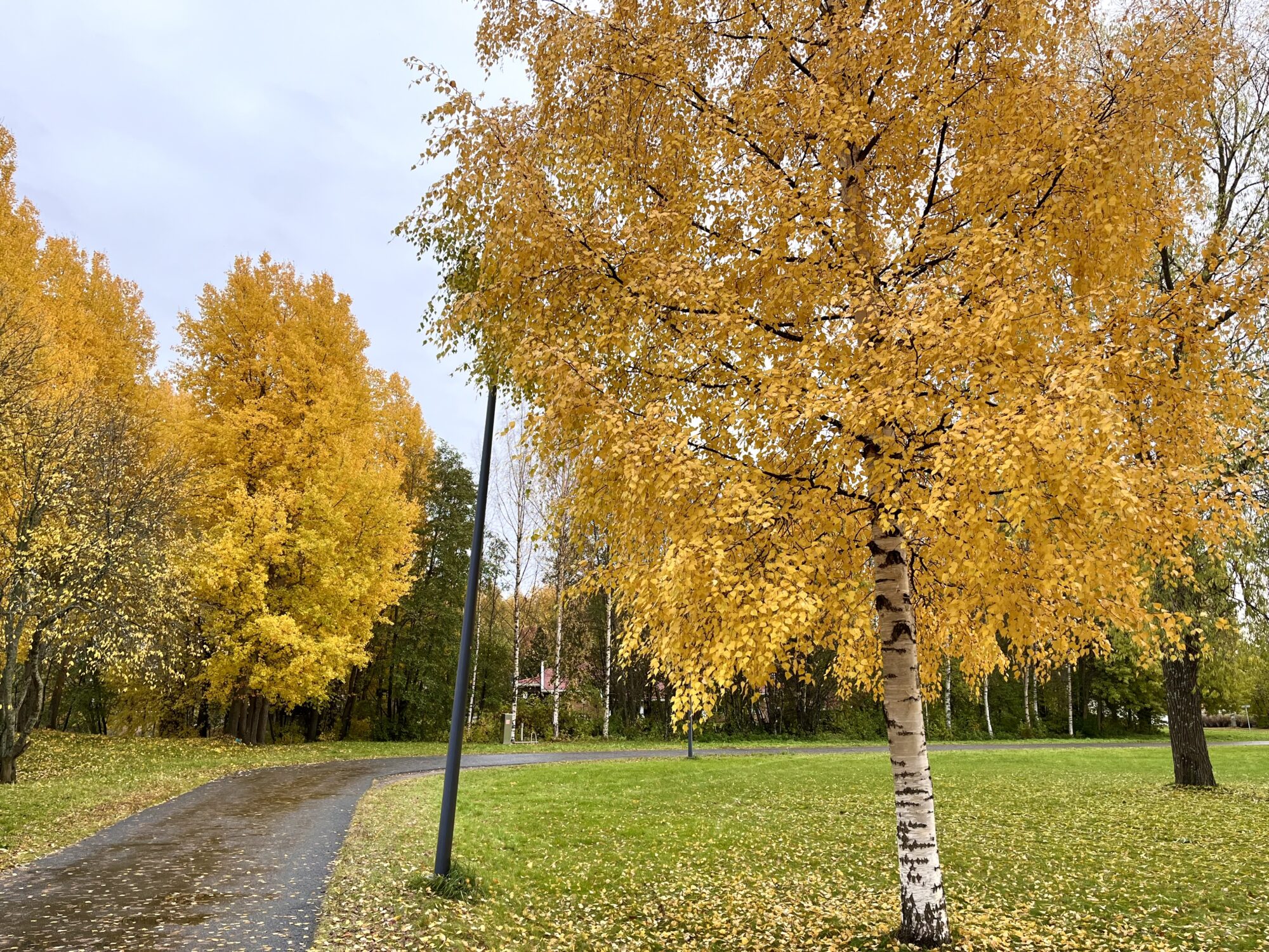 Valokuvaaja: Tuukka Pahtamaa