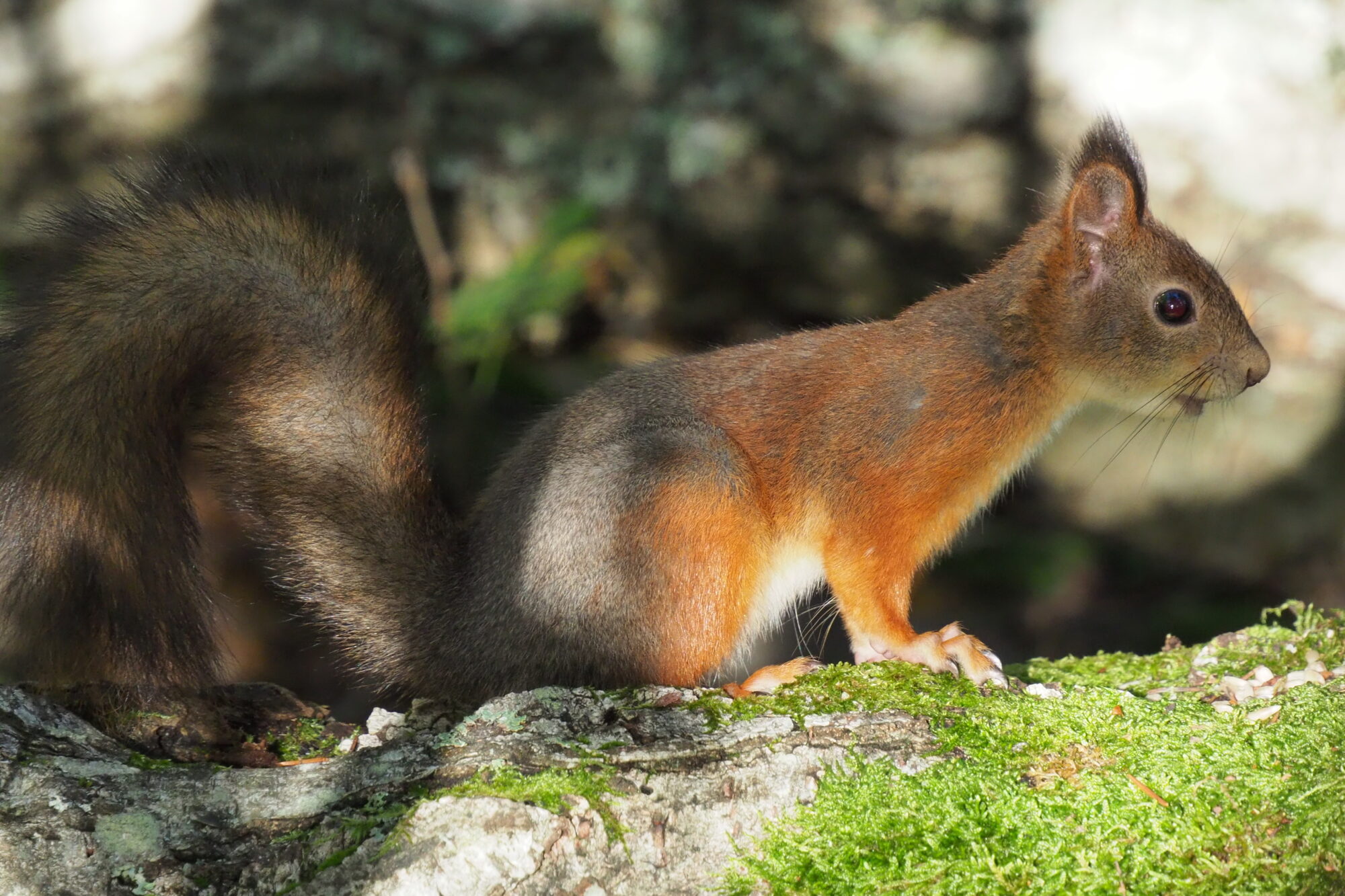 Valokuvaaja: Martti Valtonen