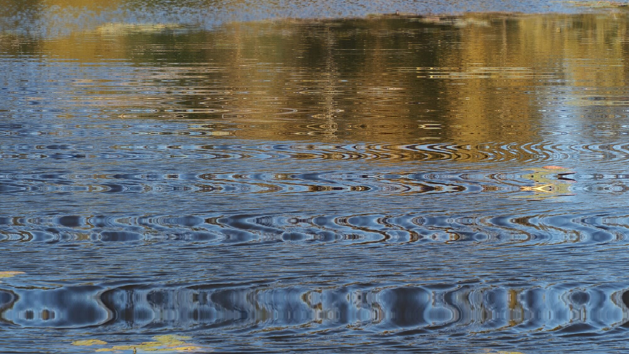 Valokuvaaja: Arja Valtonen