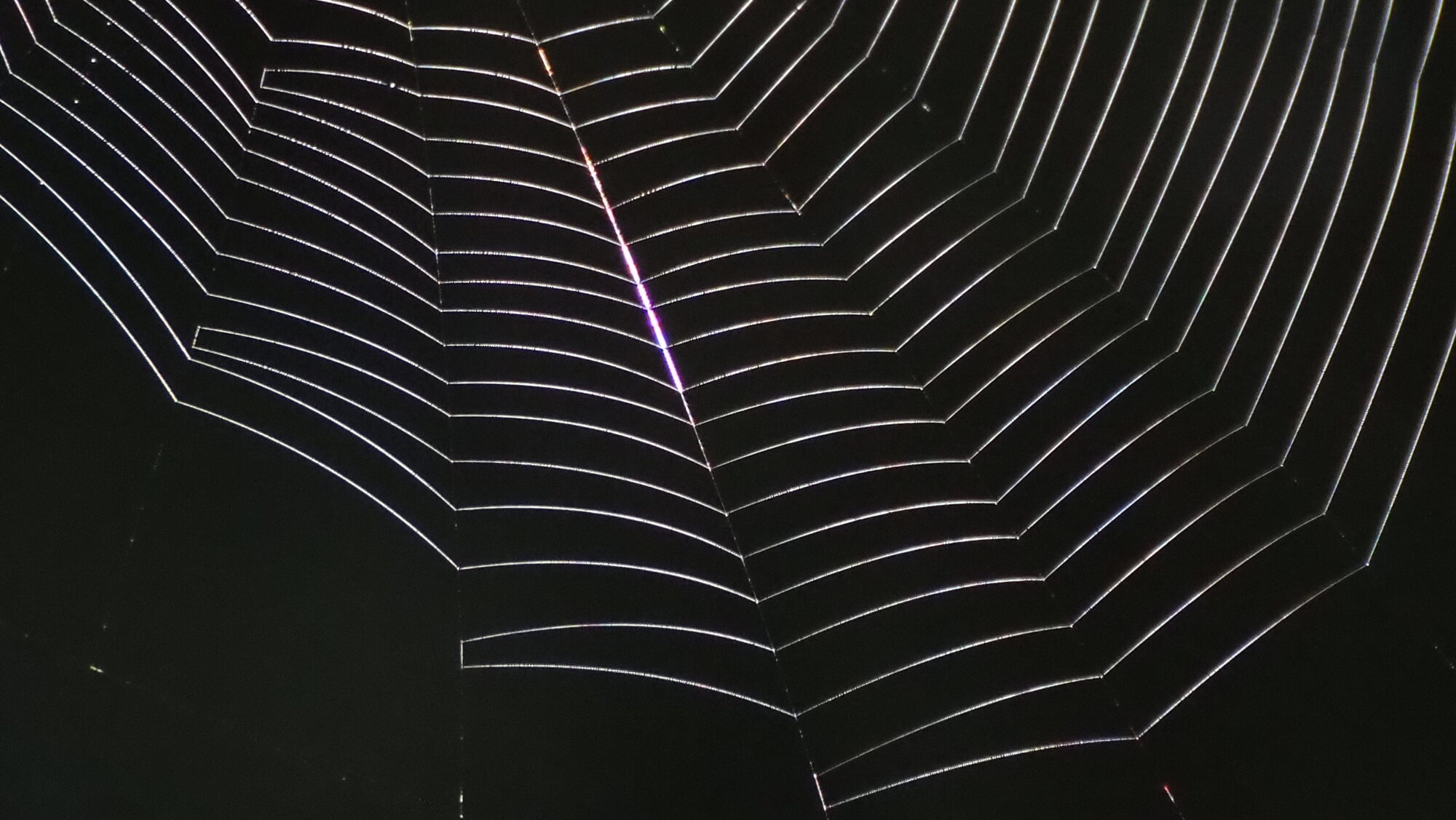 Valokuvaaja: Arja Valtonen