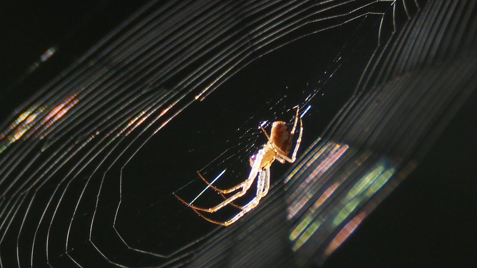 Valokuvaaja: Arja Valtonen