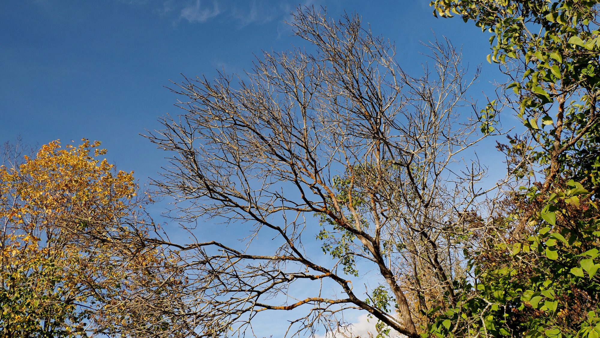 Valokuvaaja: Arja Valtonen