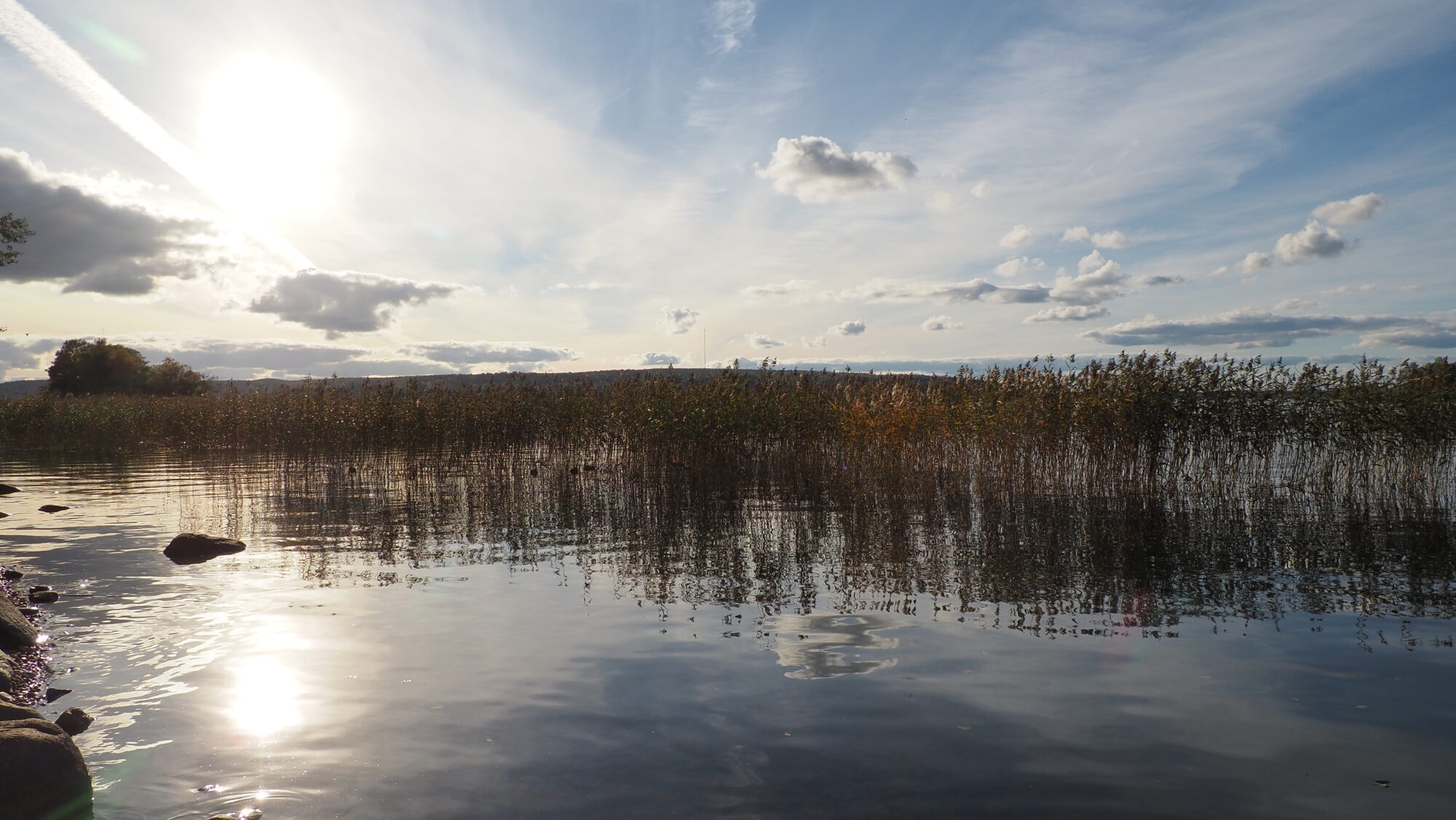 Valokuvaaja: Arja Valtonen