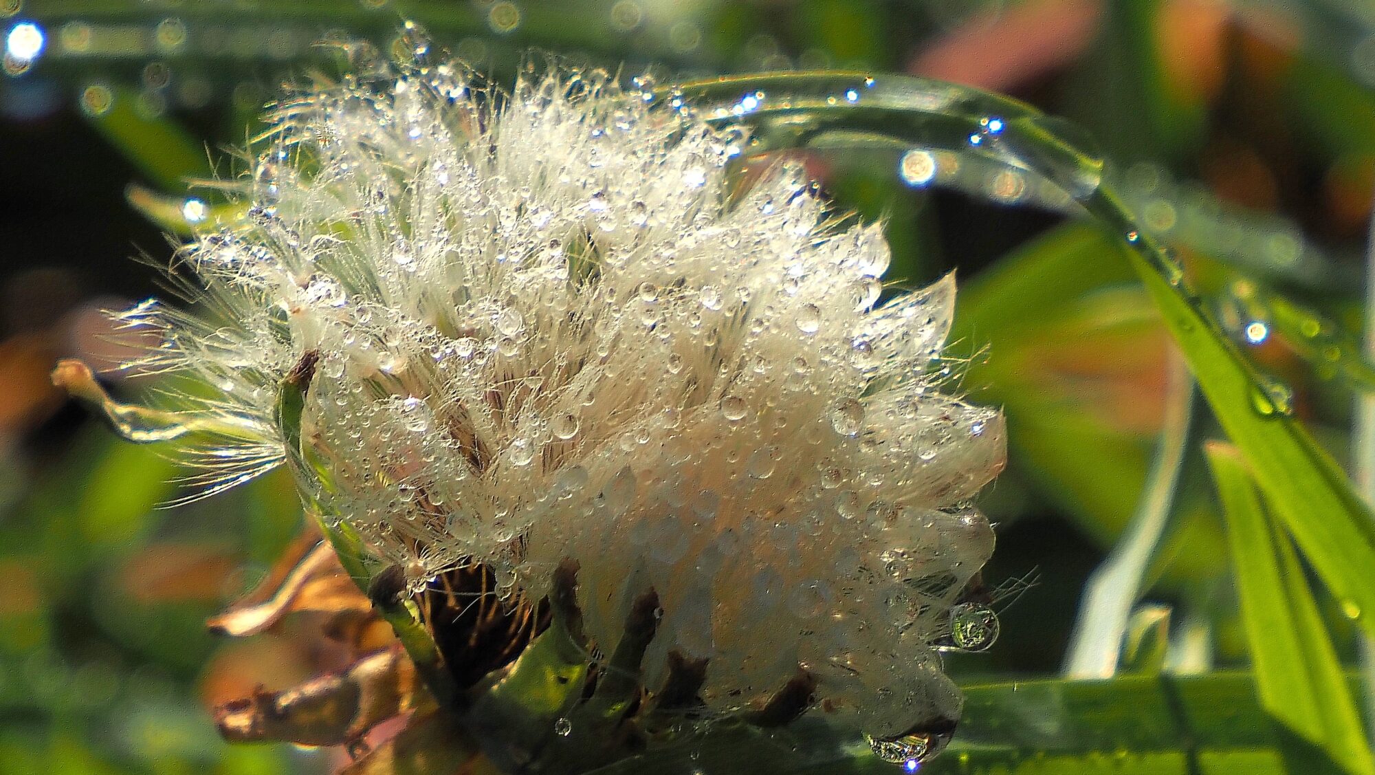 Valokuvaaja: Arja Valtonen