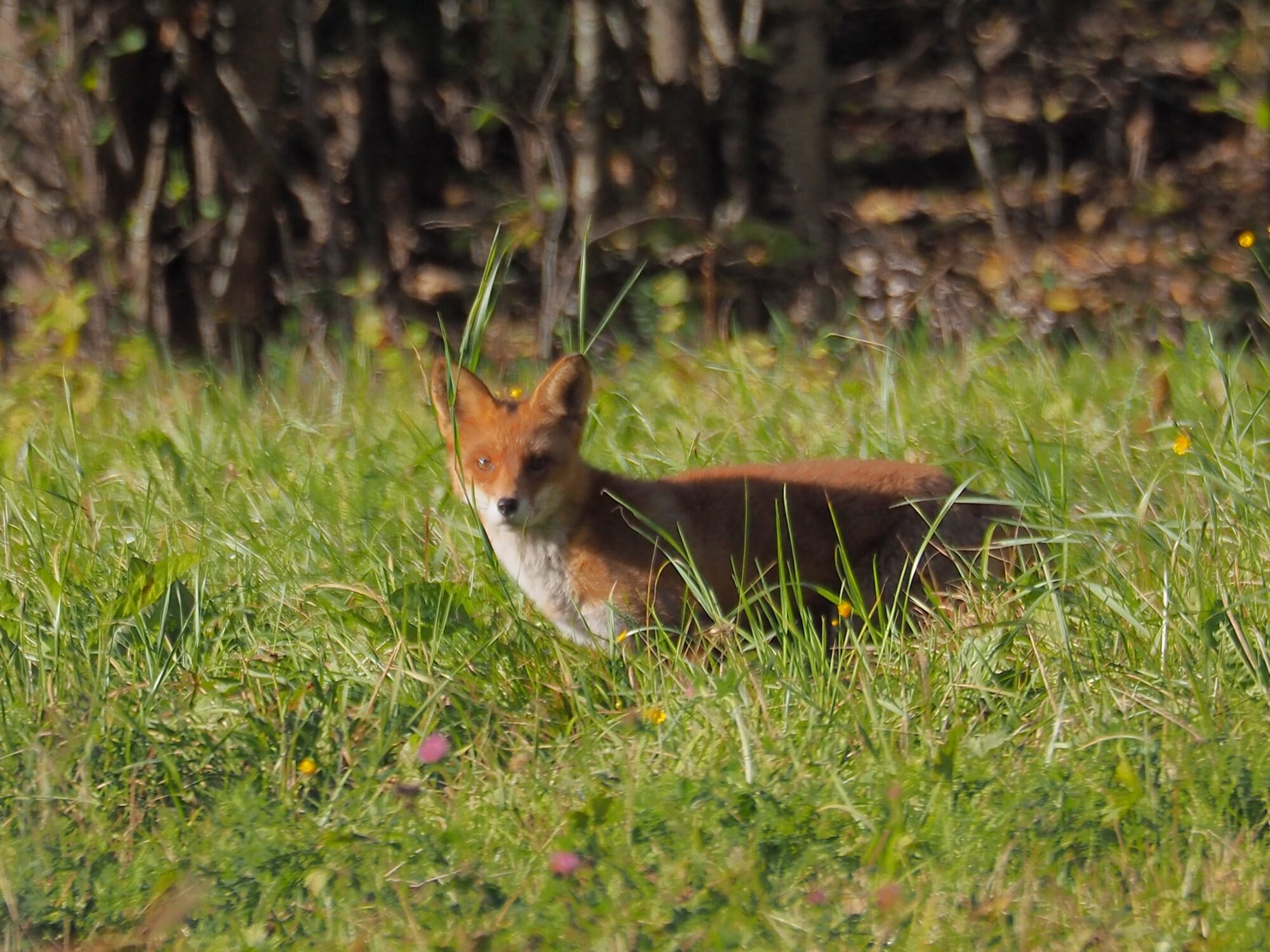 Valokuvaaja: Martti Valtonen